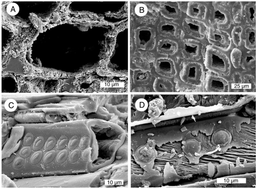 Geosciences 05 00286 g010 1024