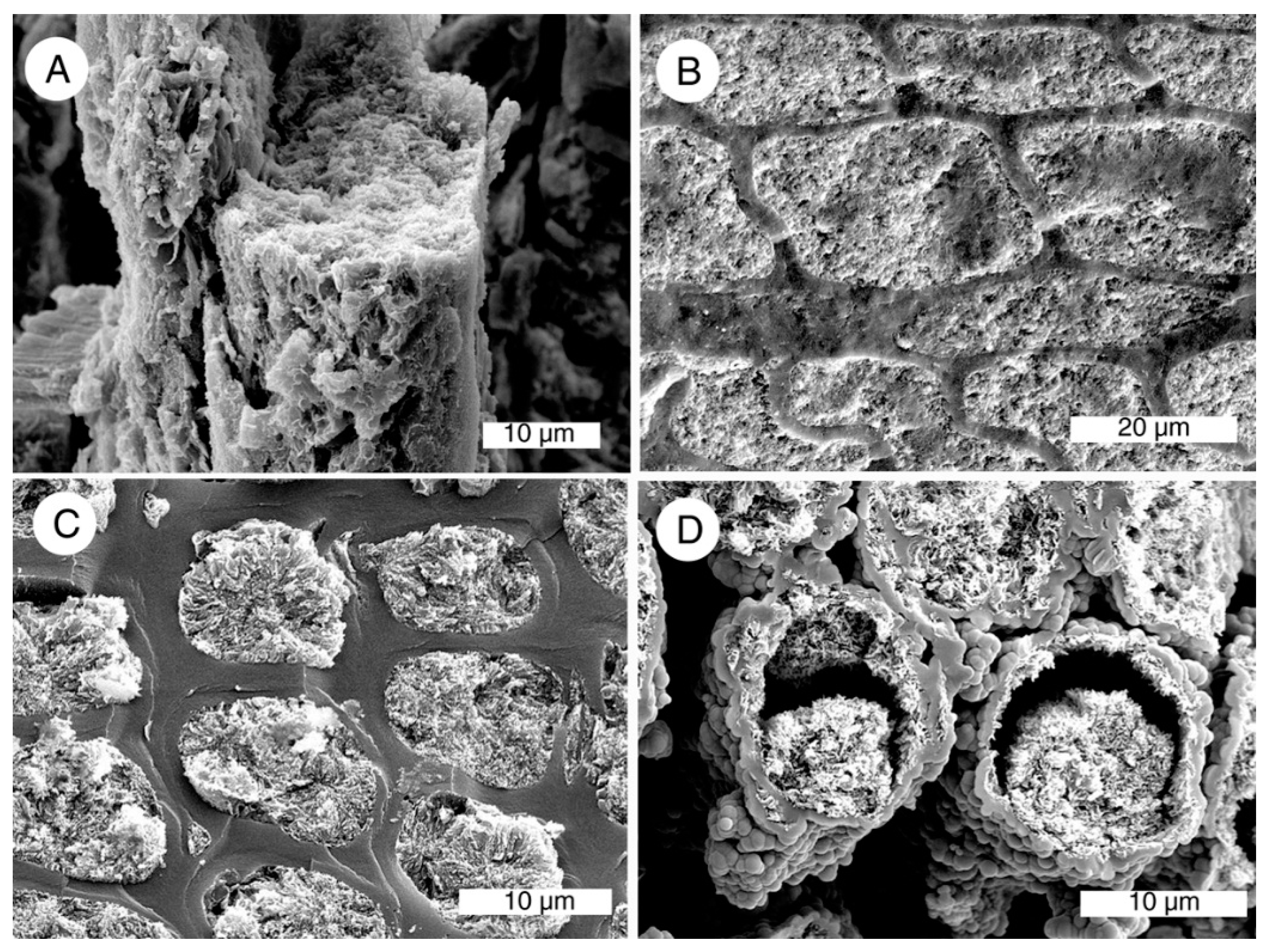 Geosciences 05 00286 g011