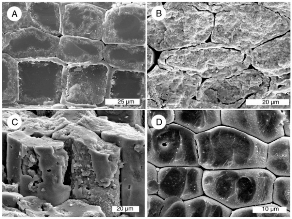 Geosciences 05 00286 g013 1024