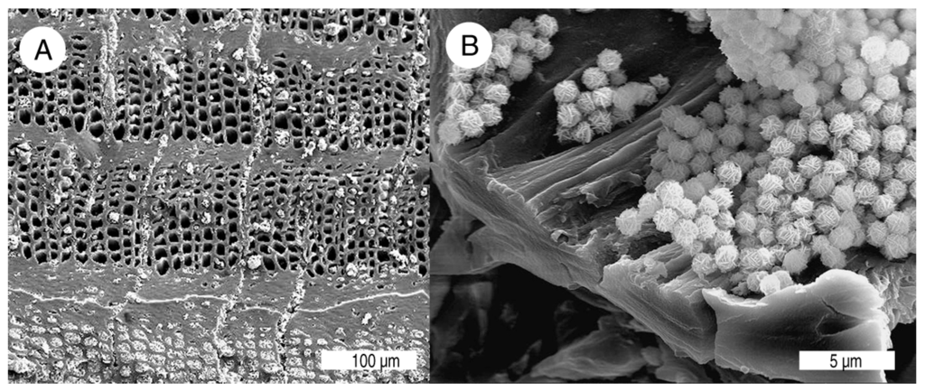Geosciences 05 00286 g015 1024