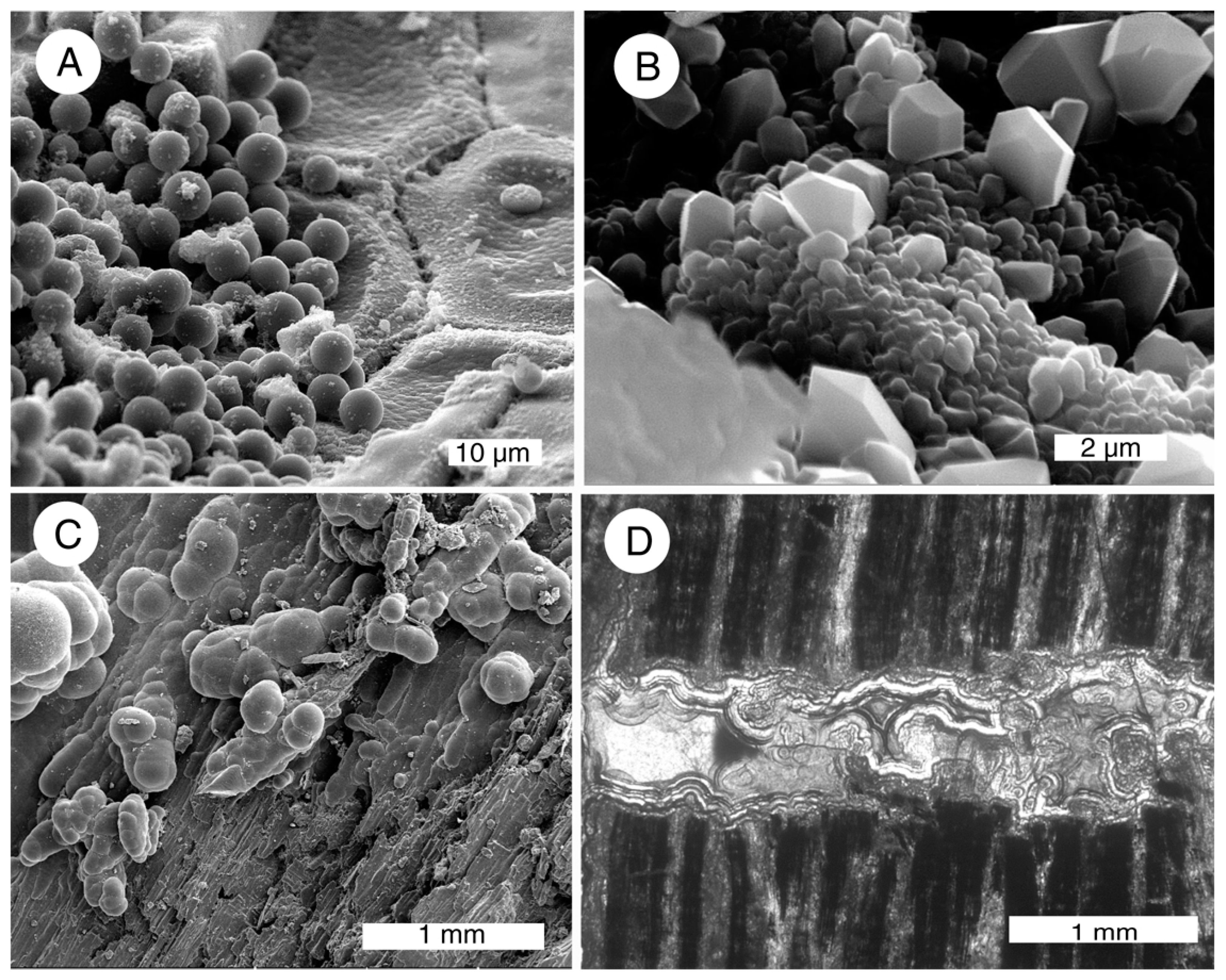 Geosciences 05 00286 g017