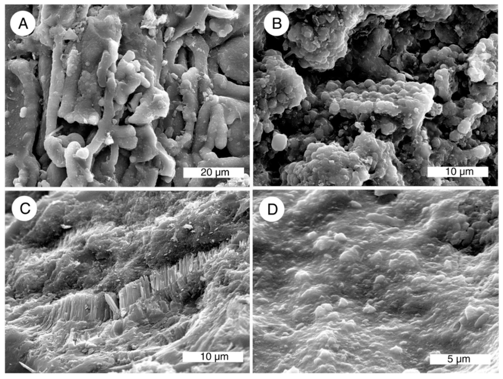 Geosciences 05 00286 g018 1024