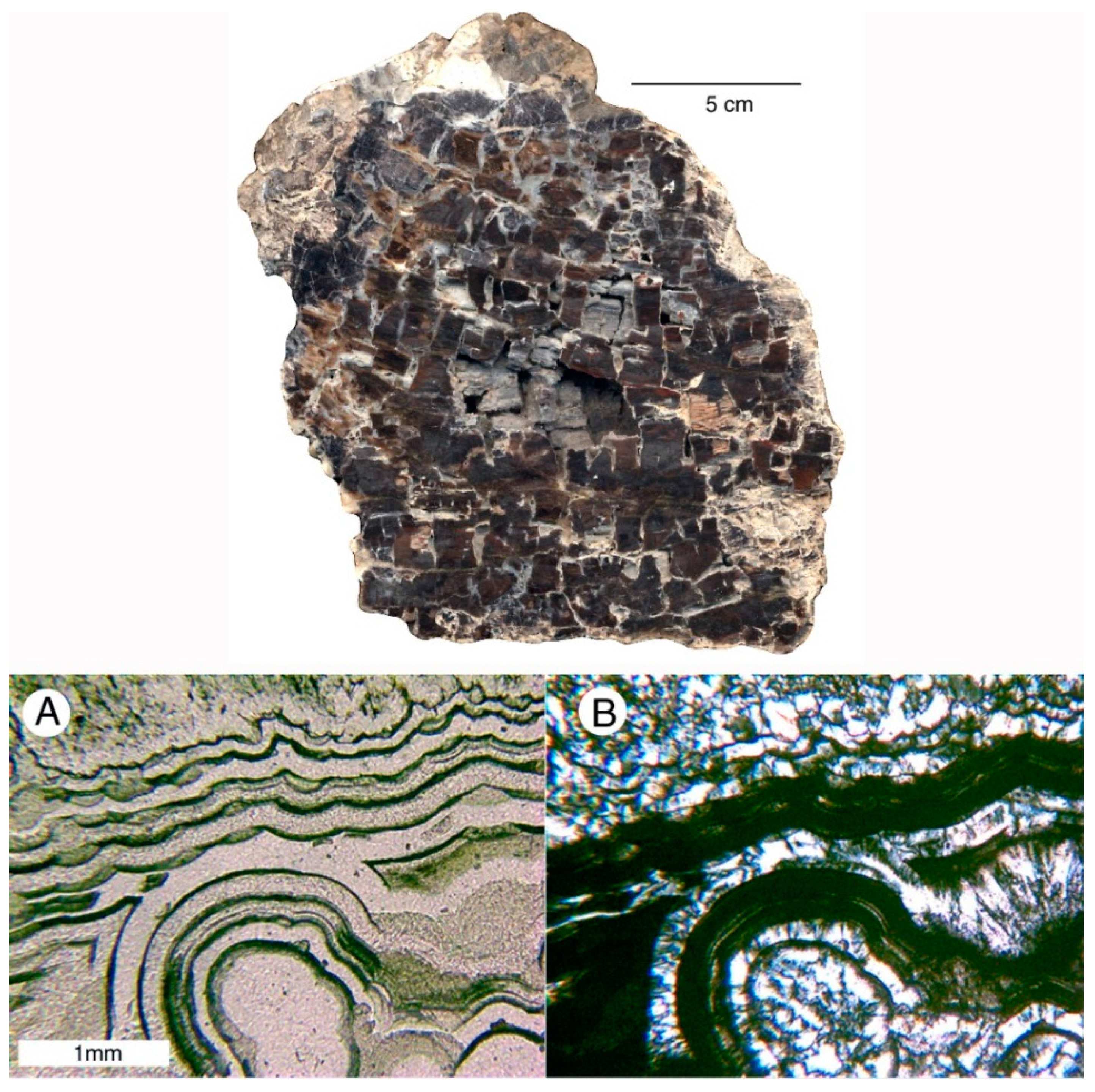 Geosciences 05 00286 g020