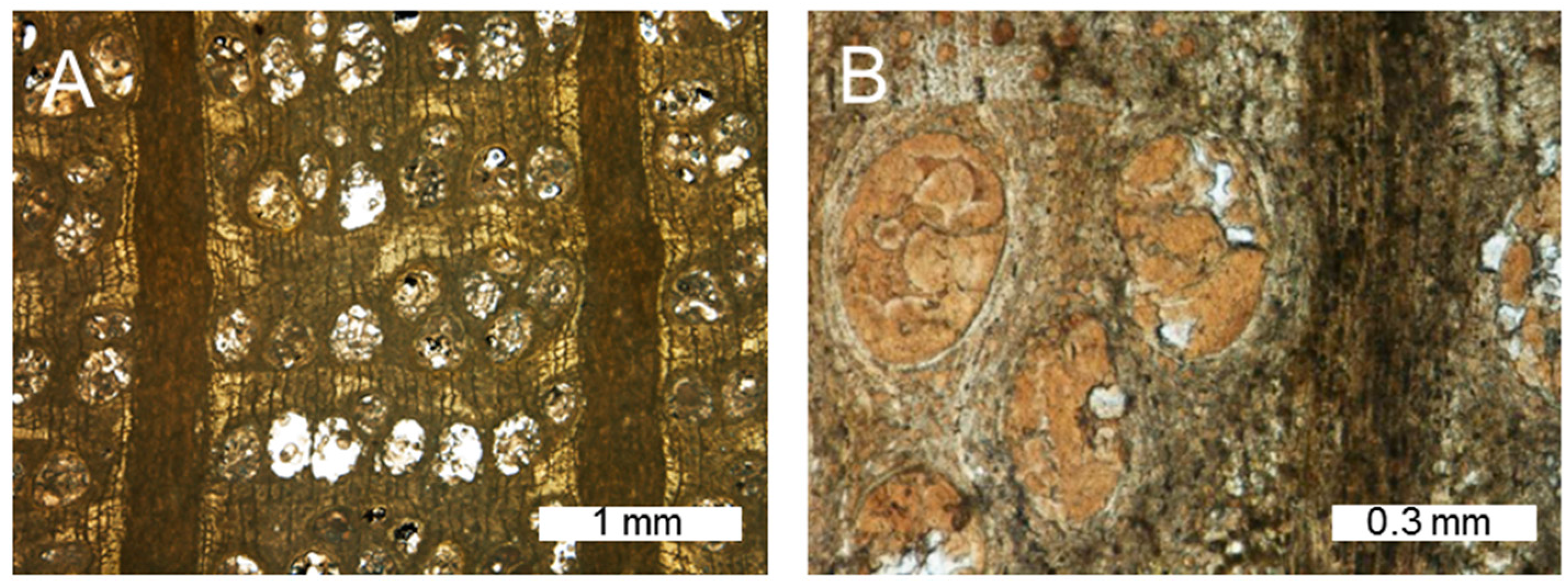 Geosciences 06 00021 g006