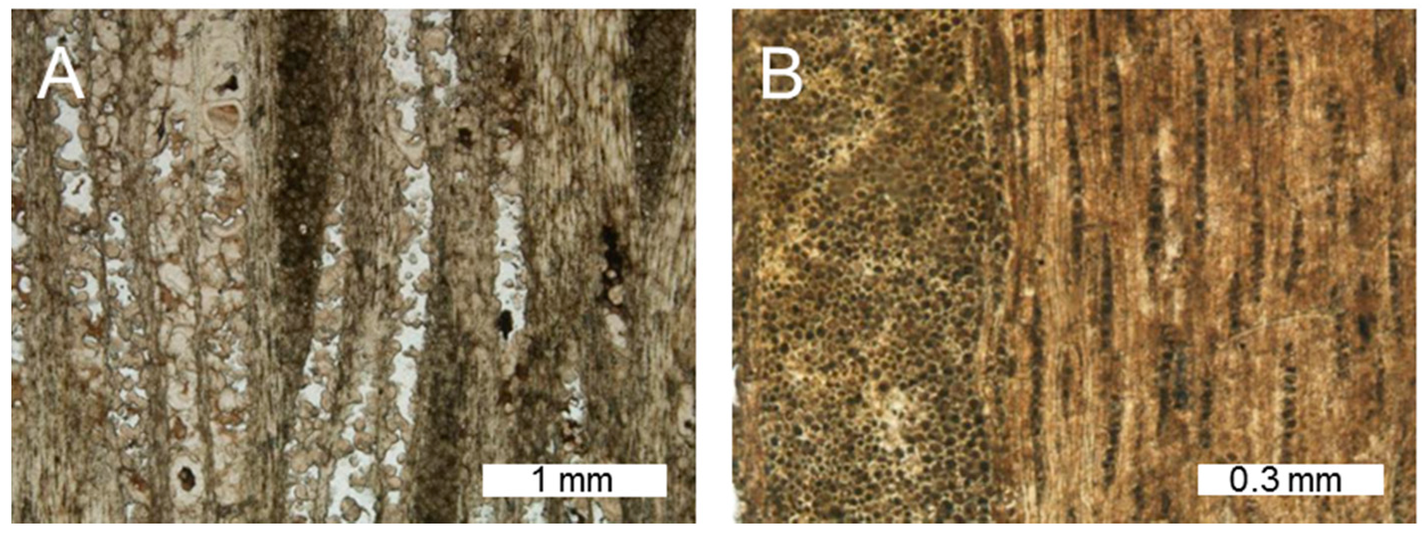 Geosciences 06 00021 g007