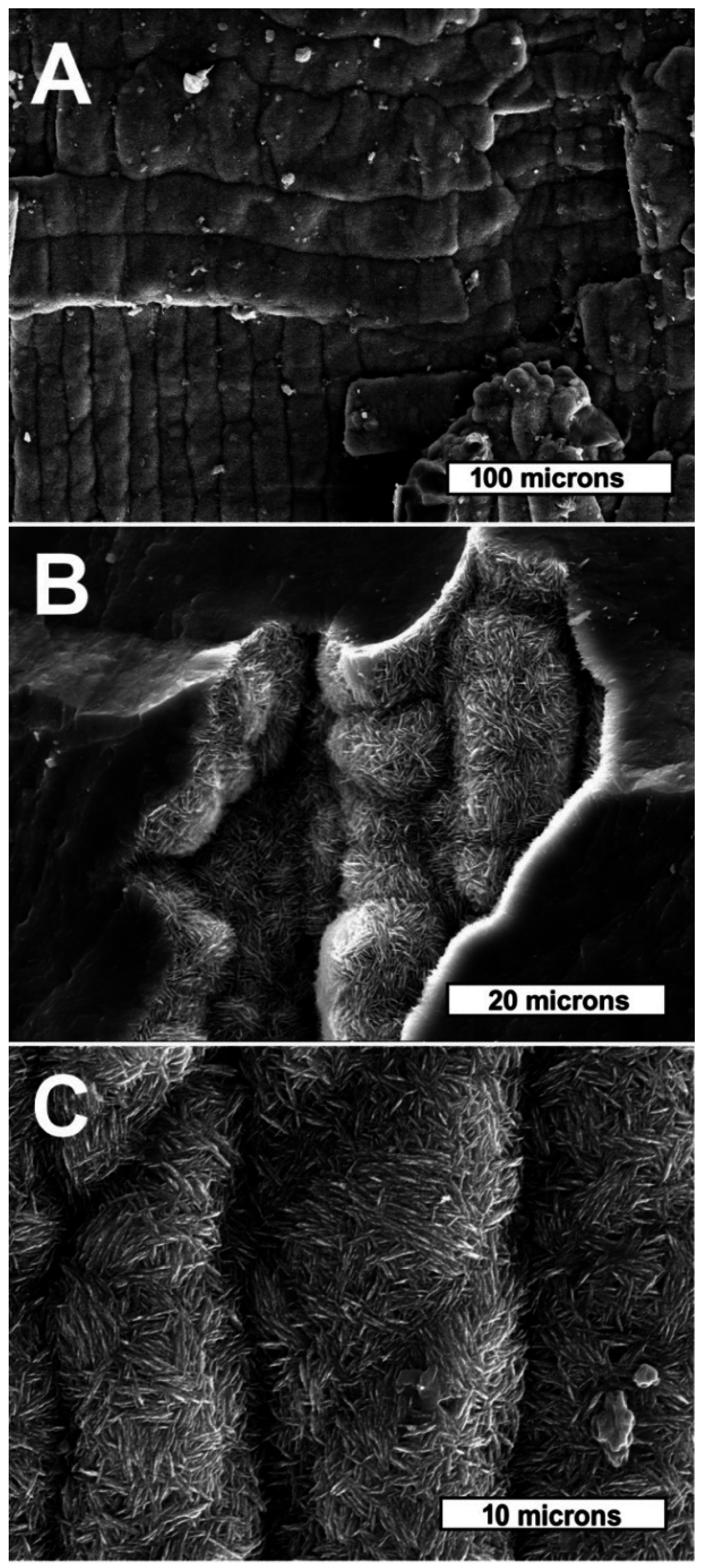 Geosciences 06 00021 g009