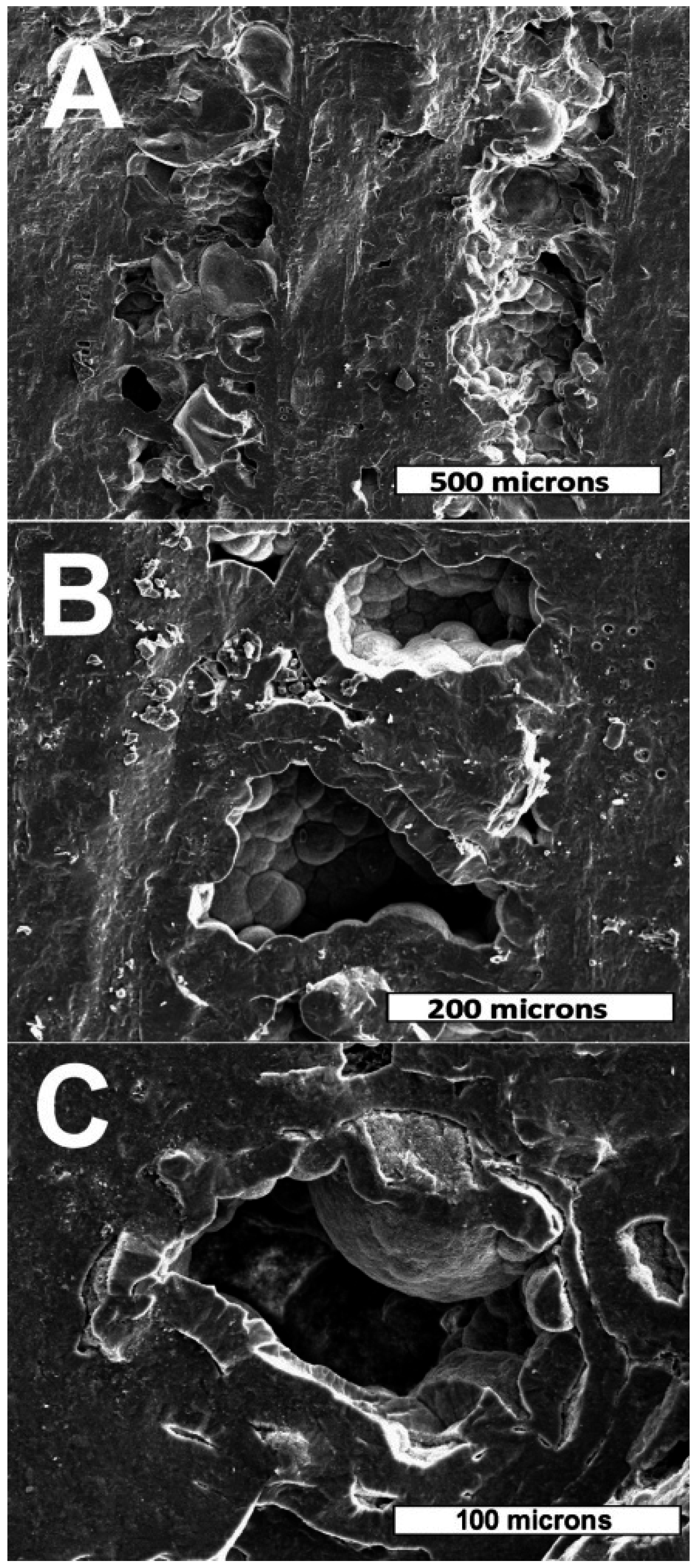Geosciences 06 00021 g010