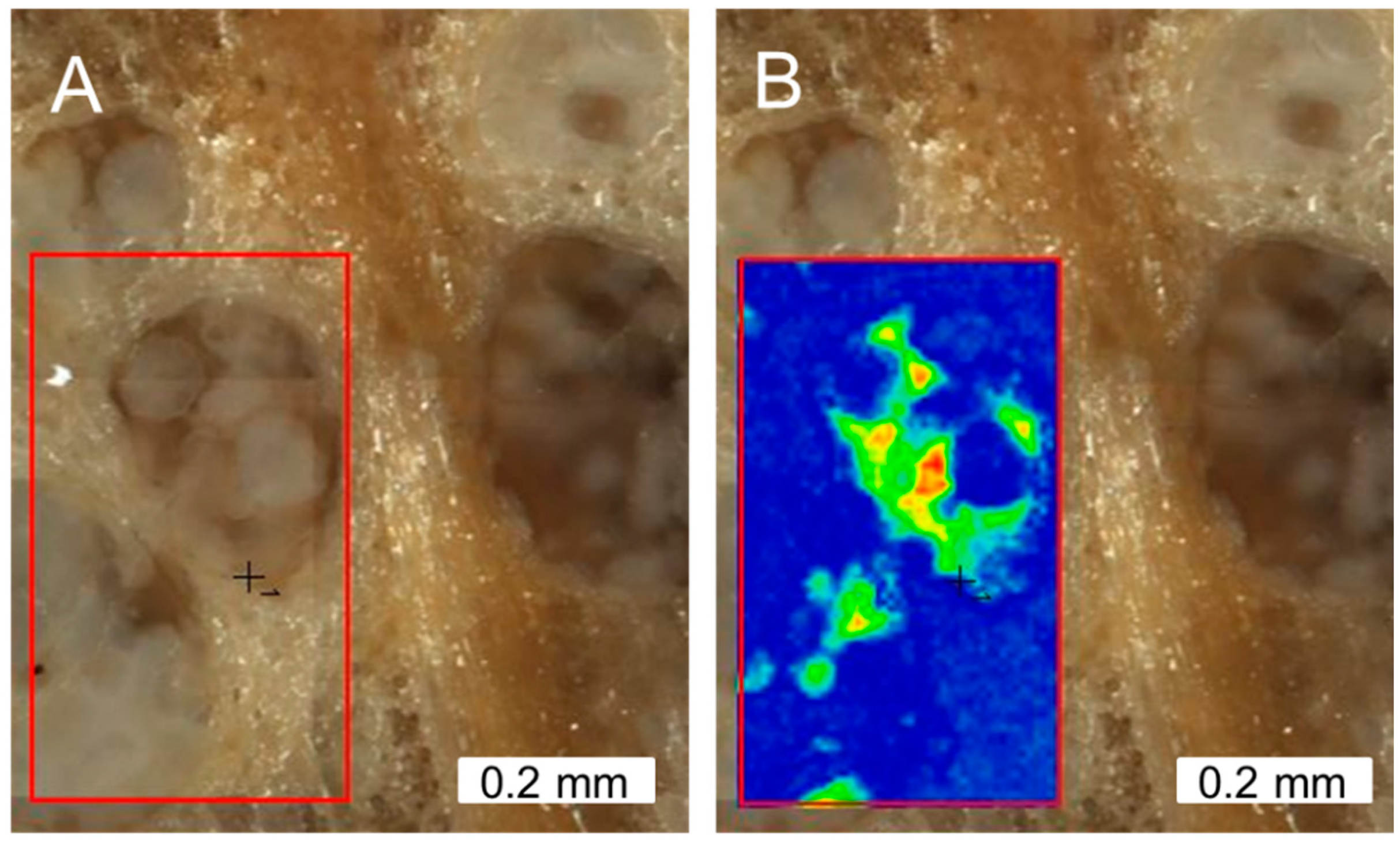 Geosciences 06 00021 g014