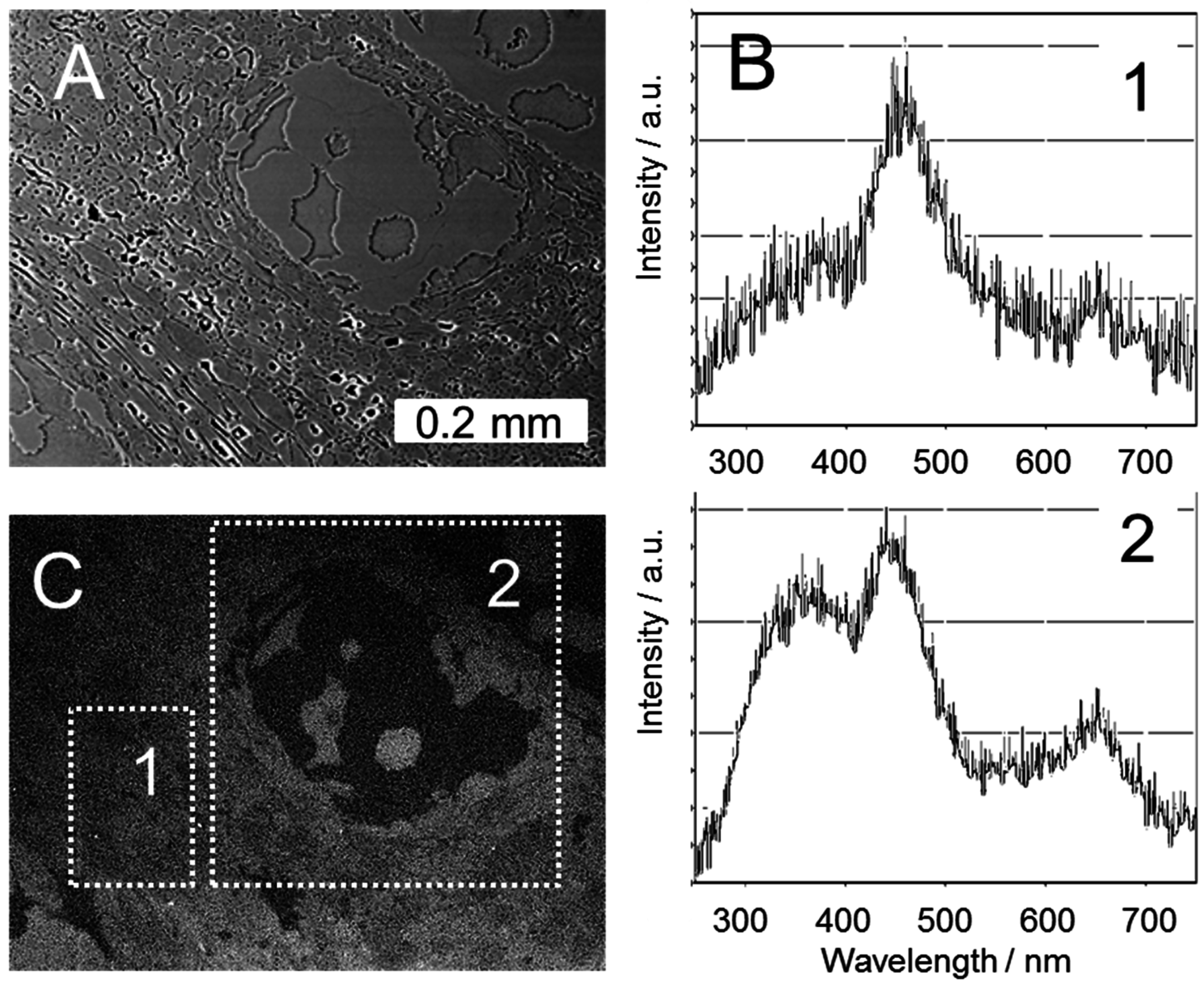 Geosciences 06 00021 g015