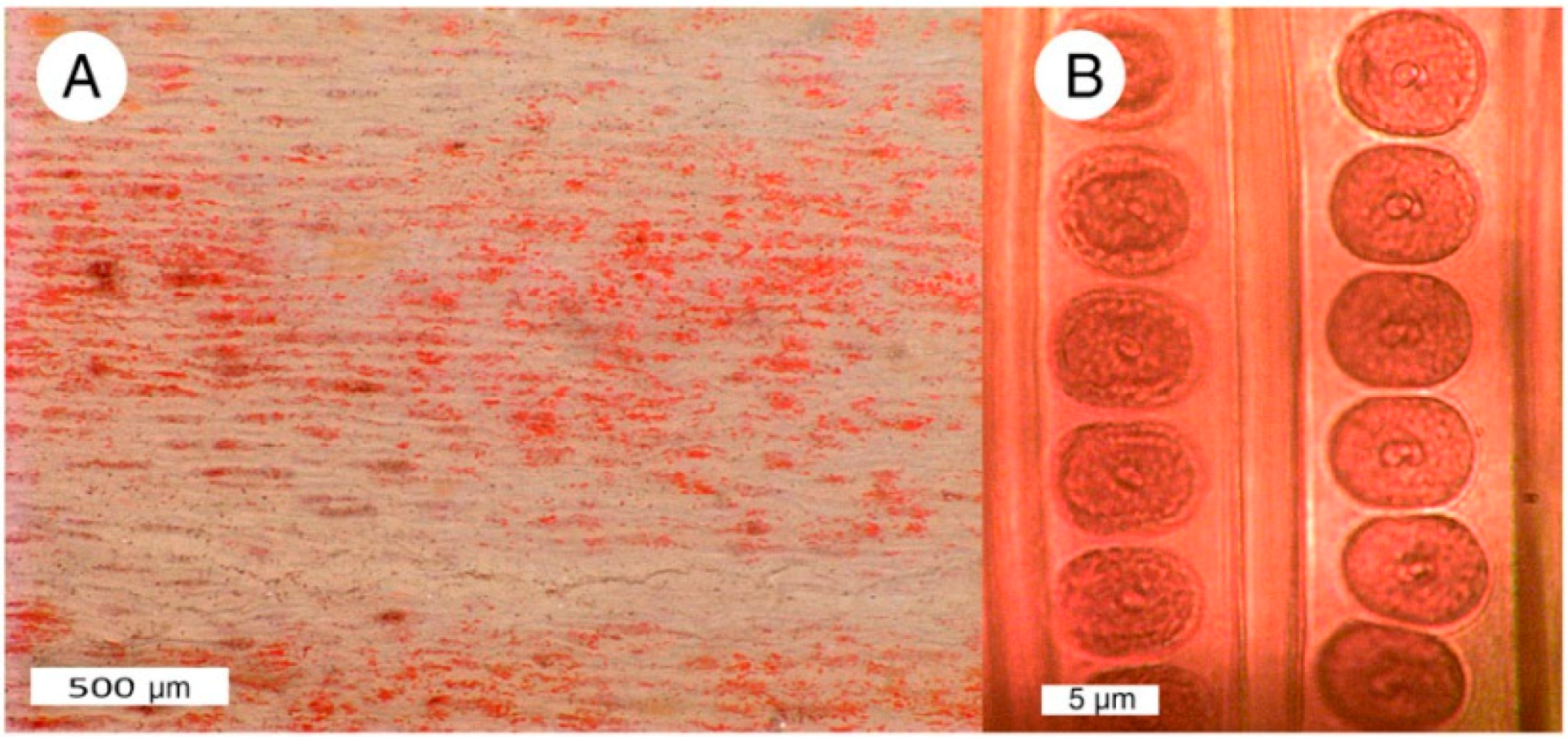 Geosciences 06 00025 g011