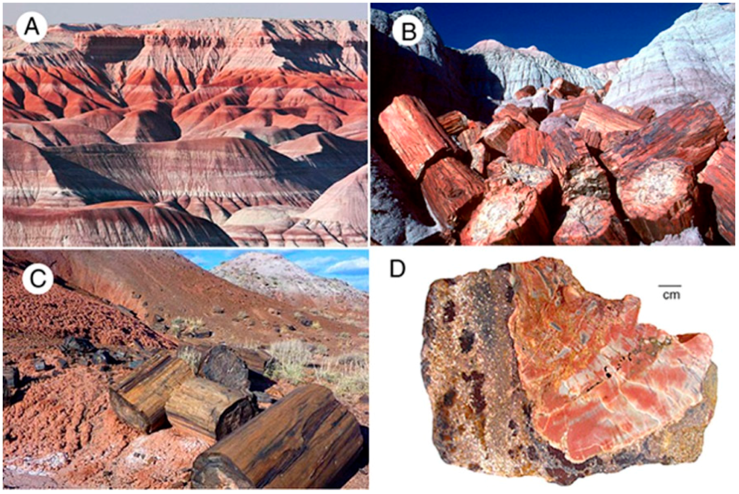 Geosciences 06 00025 g013
