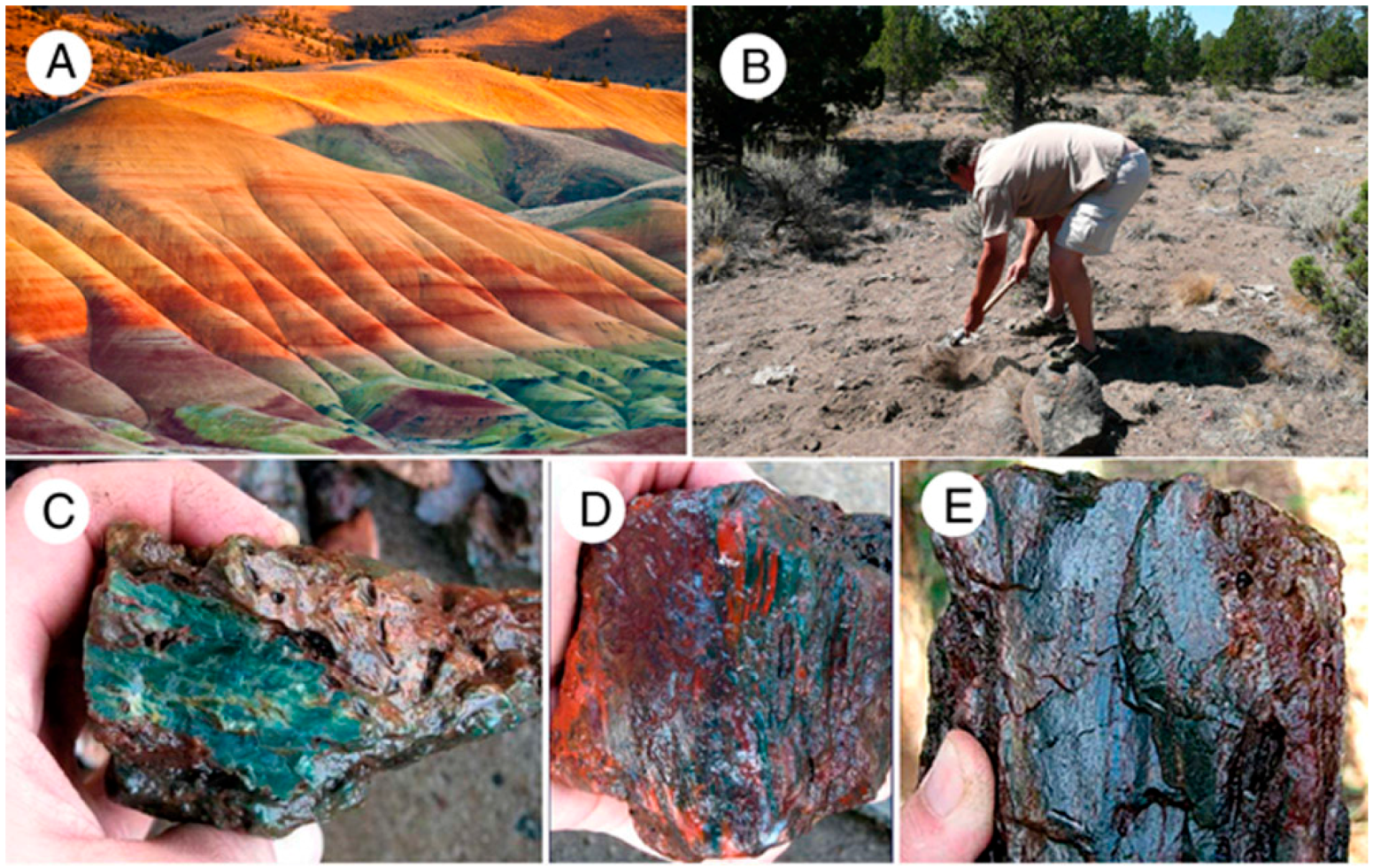 Geosciences 06 00025 g014