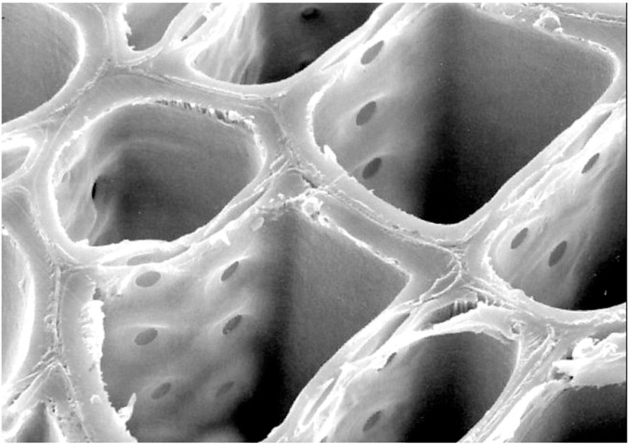 Geosciences 06 00025 g015