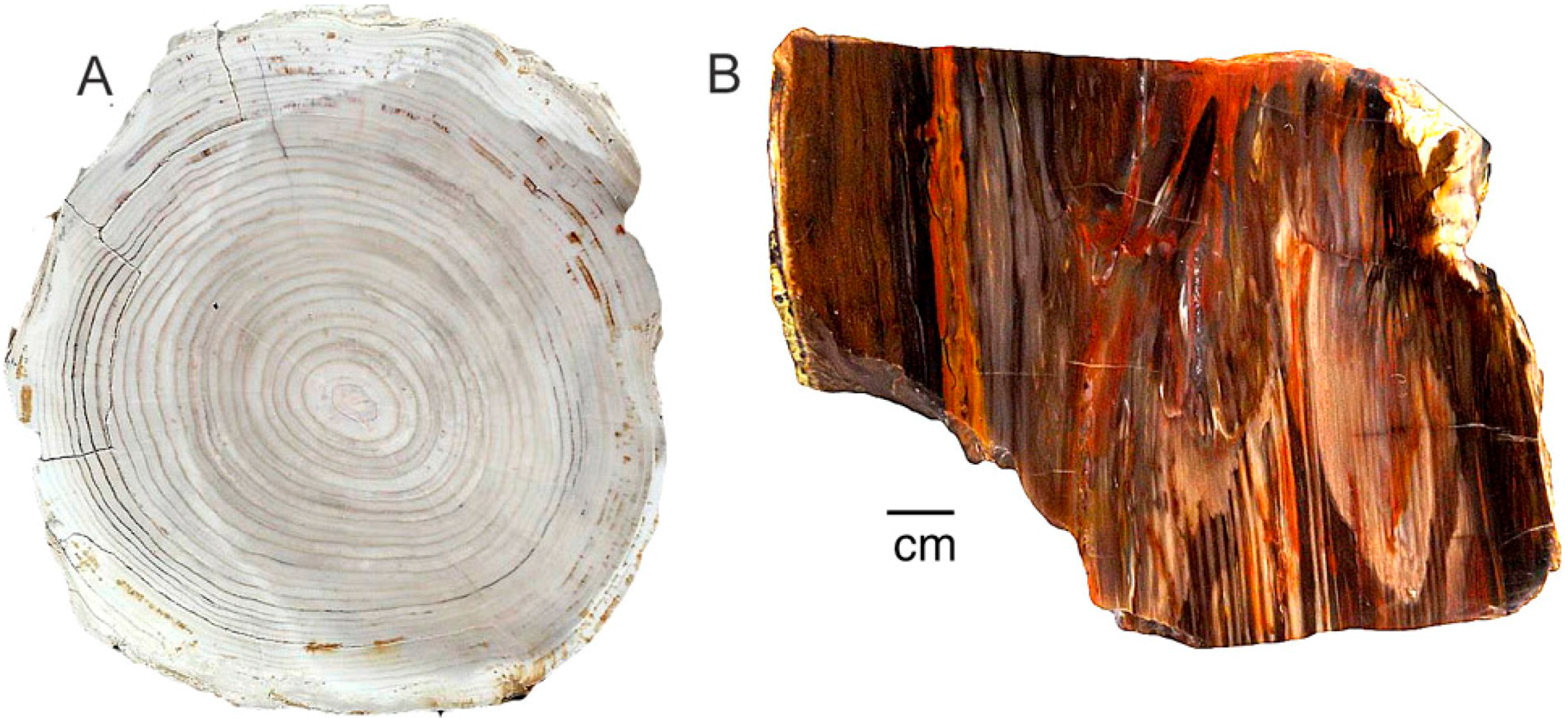 Geosciences 06 00025 g016