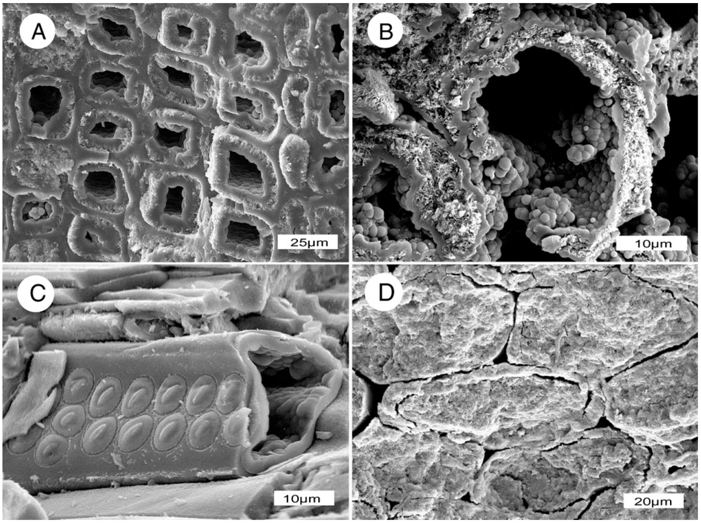 Geosciences 06 00025 g017
