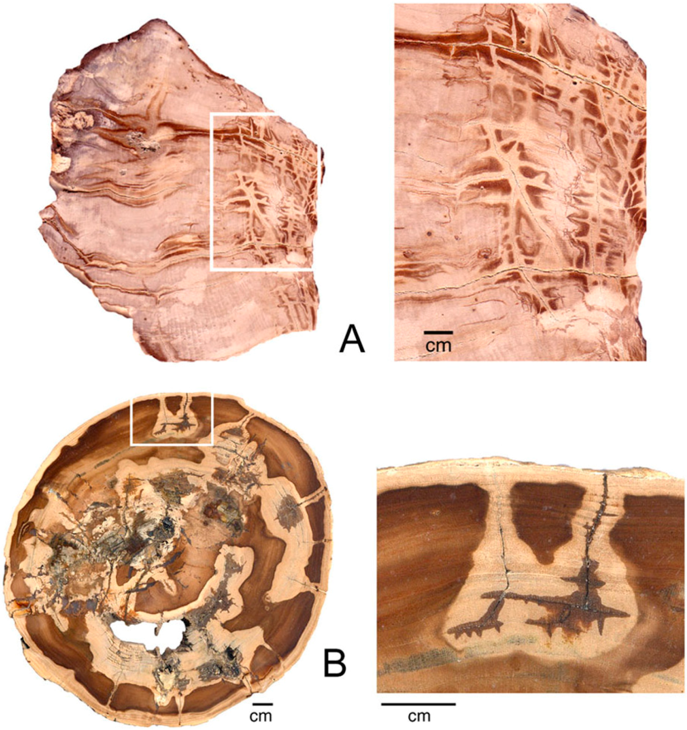 Geosciences 06 00025 g019