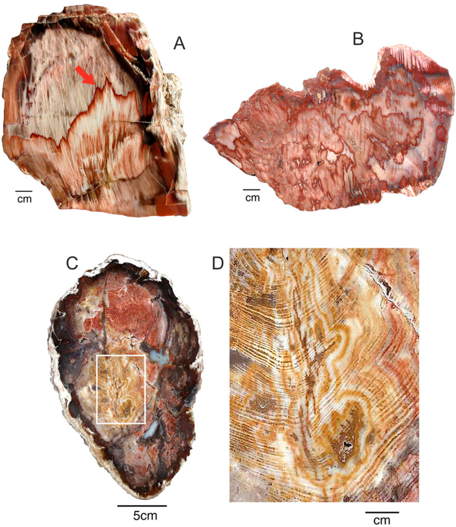 Geosciences 06 00025 g020
