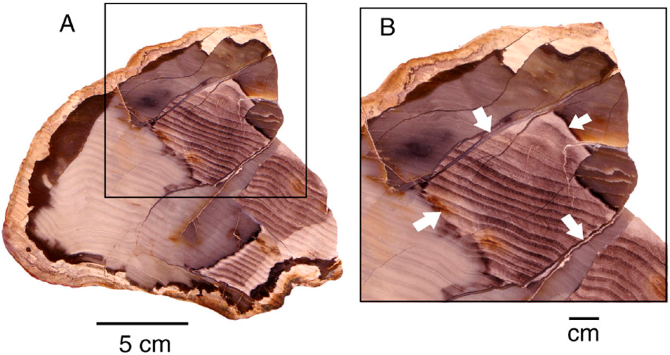 Geosciences 06 00025 g023