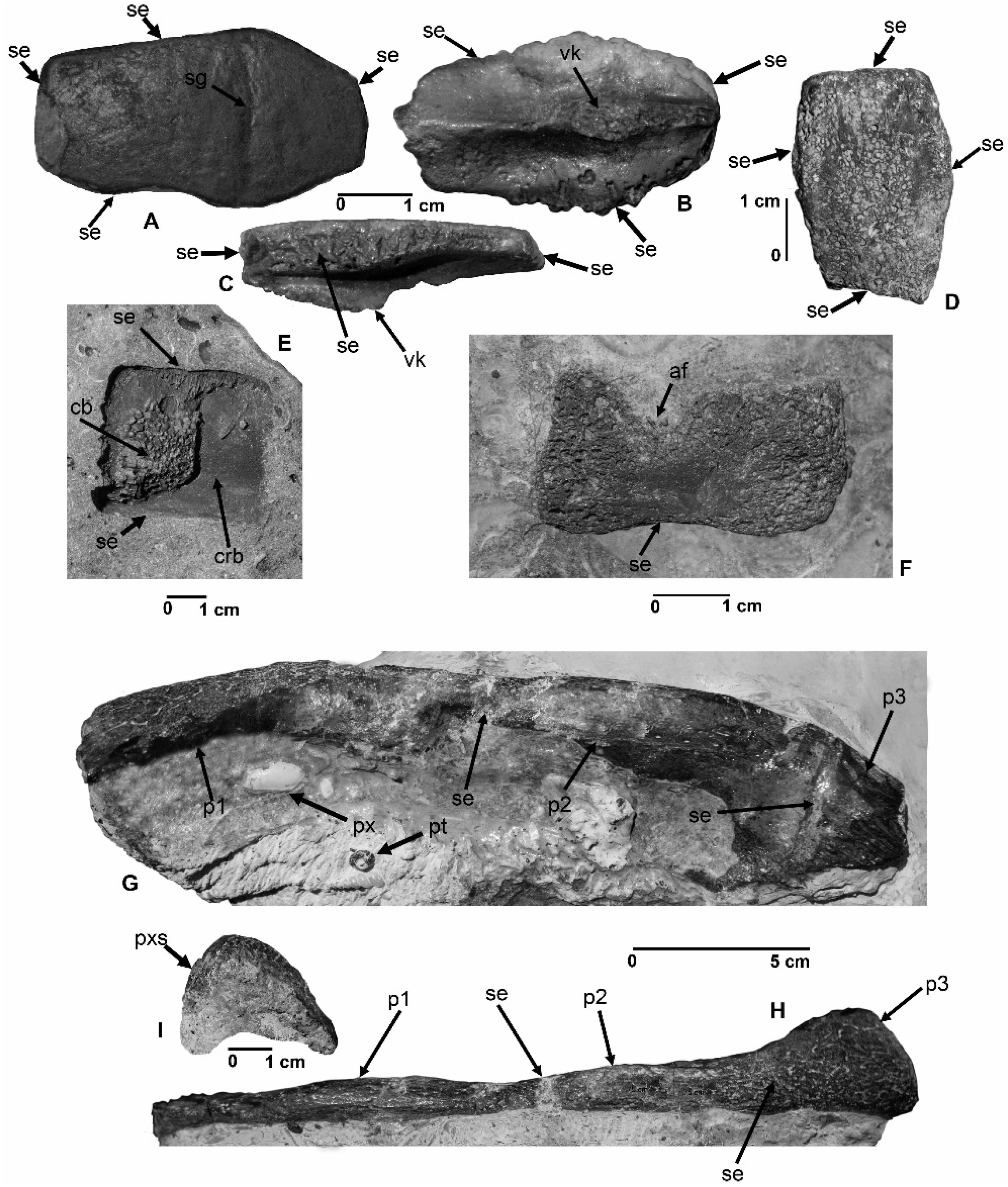 Geosciences 06 00041 g004