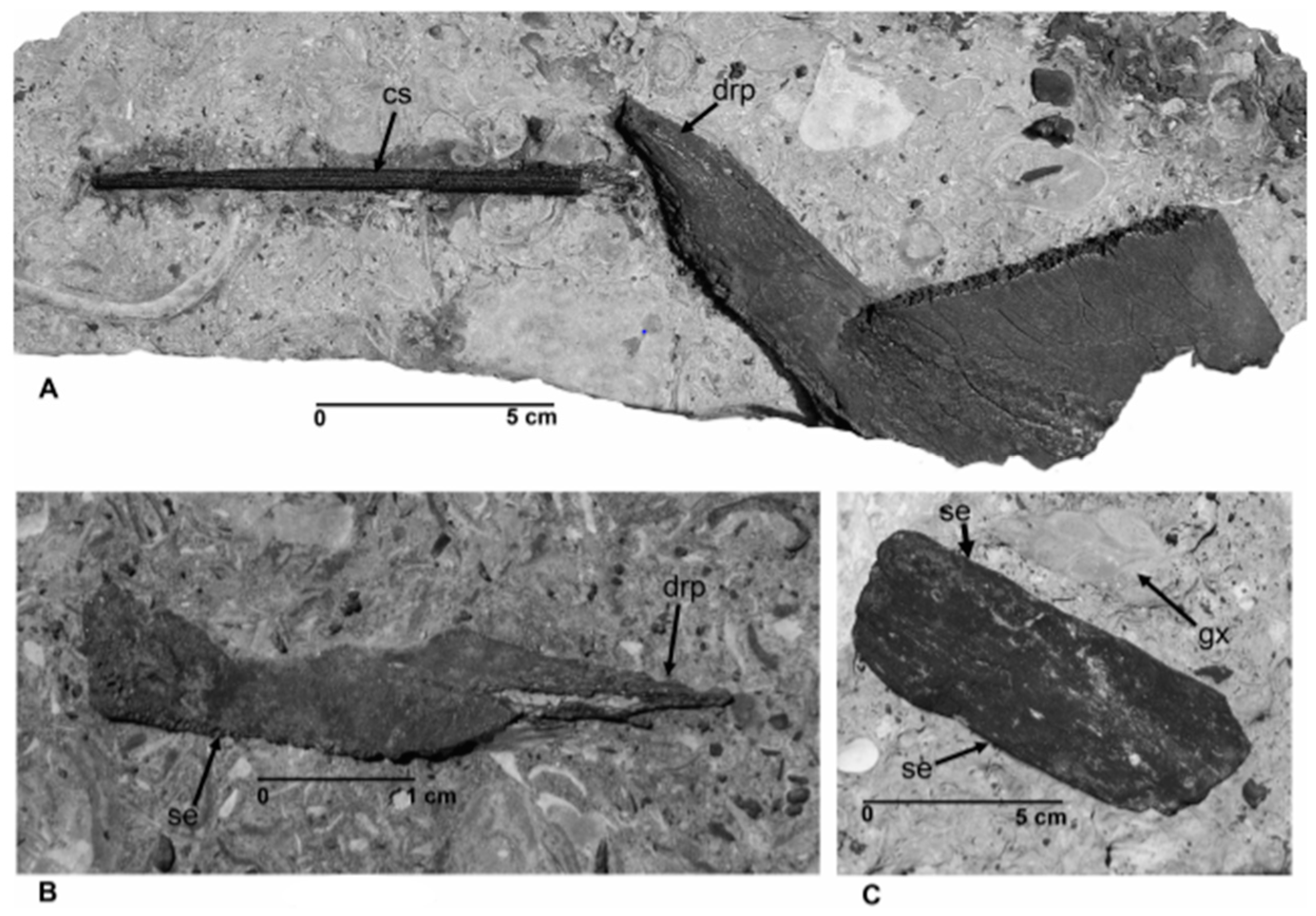 Geosciences 06 00041 g005a