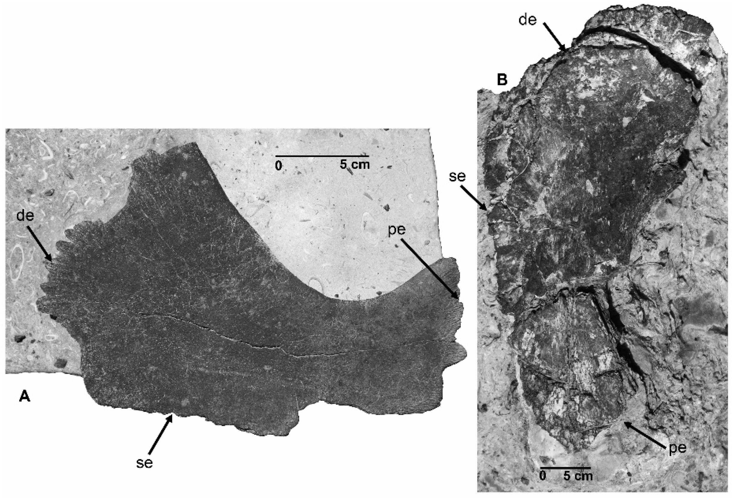 Geosciences 06 00041 g007a
