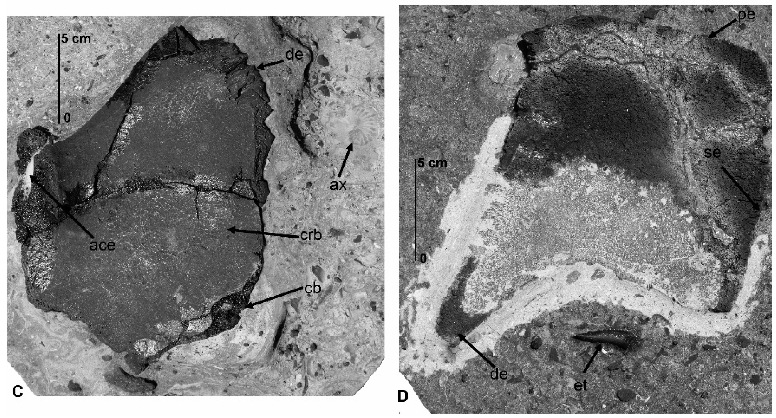 Geosciences 06 00041 g007b