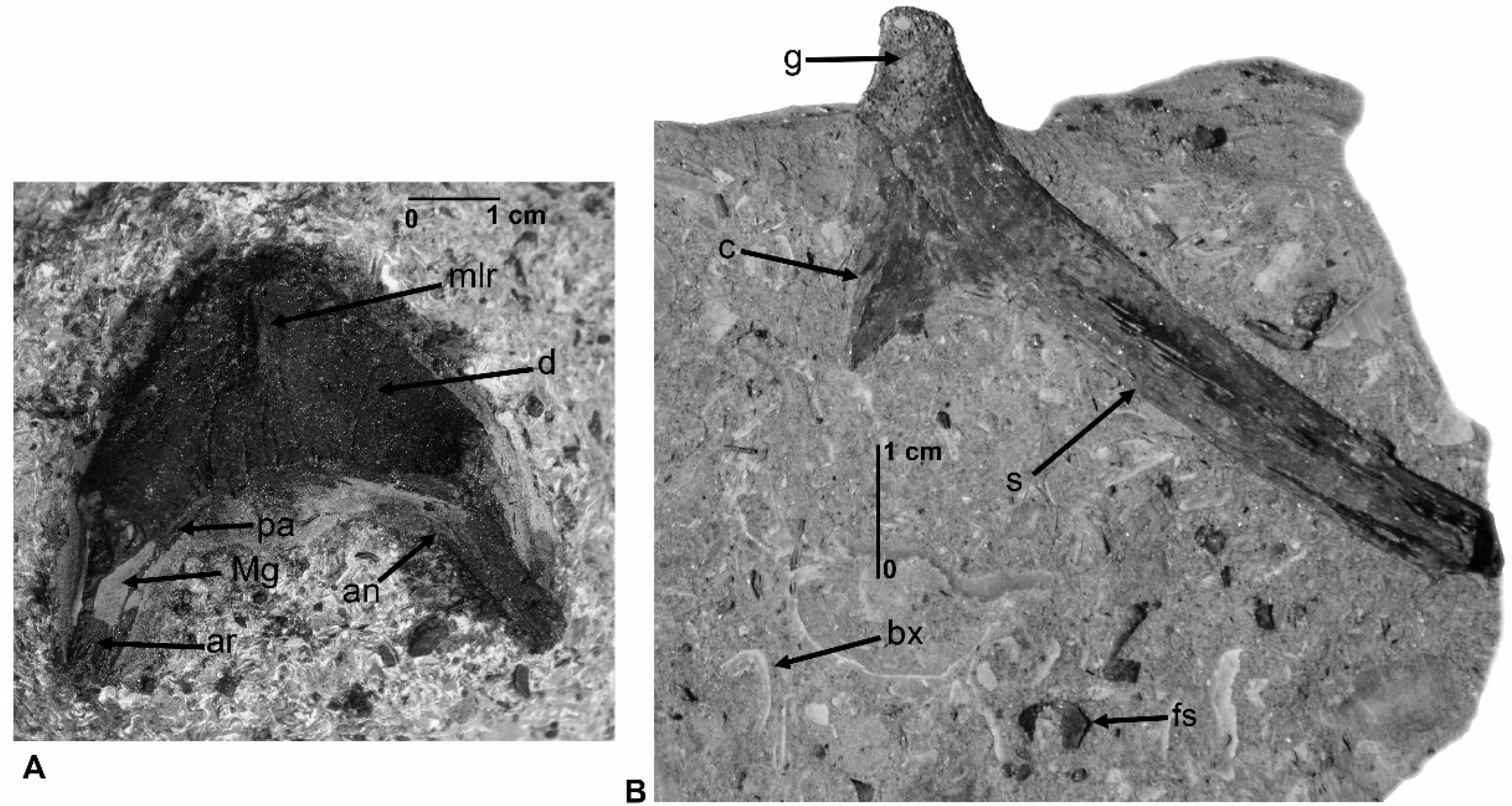 Geosciences 06 00041 g008
