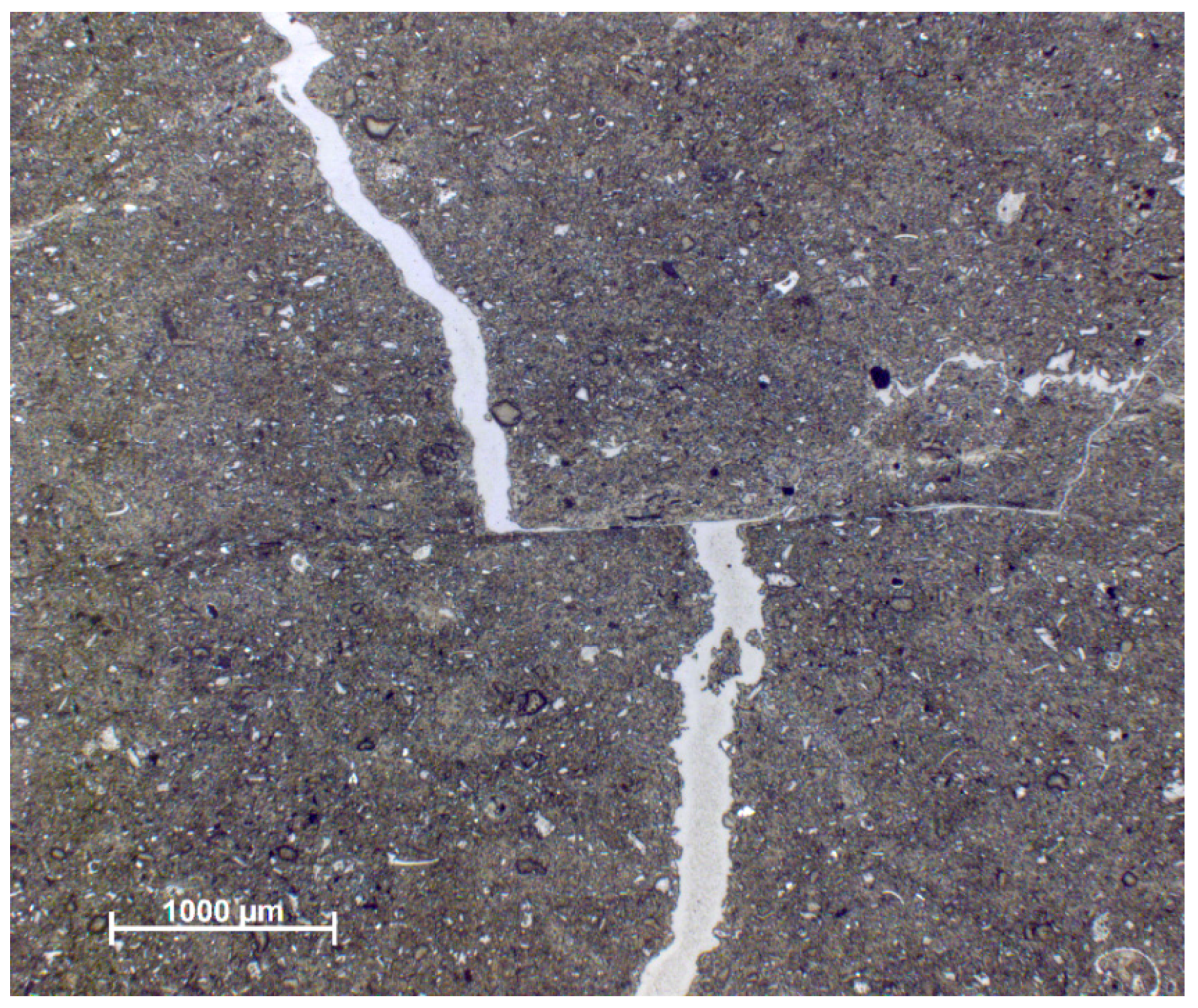 Geosciences 07 00005 g011