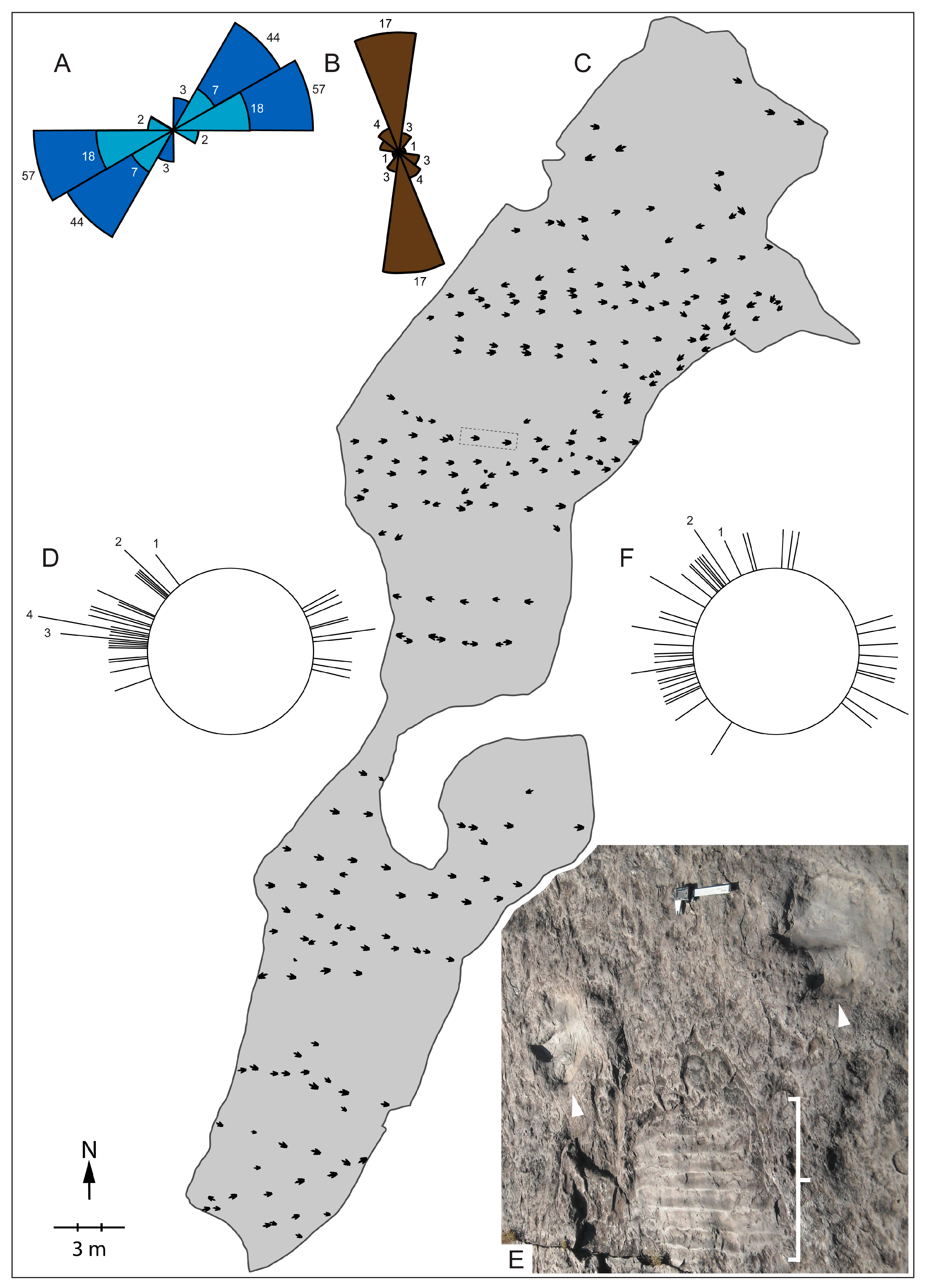 Geosciences 07 00013 g002