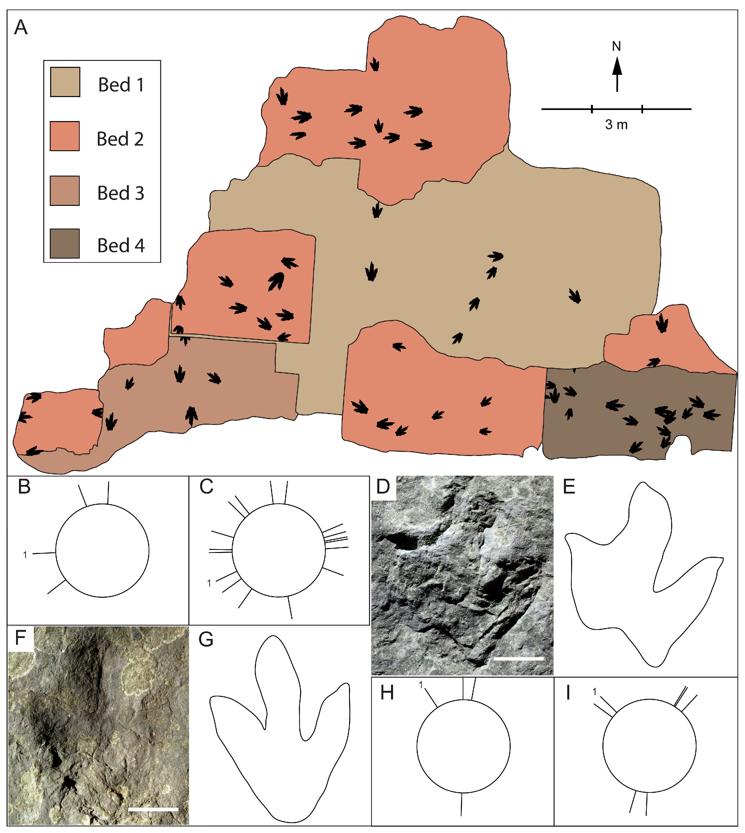 Geosciences 07 00013 g004