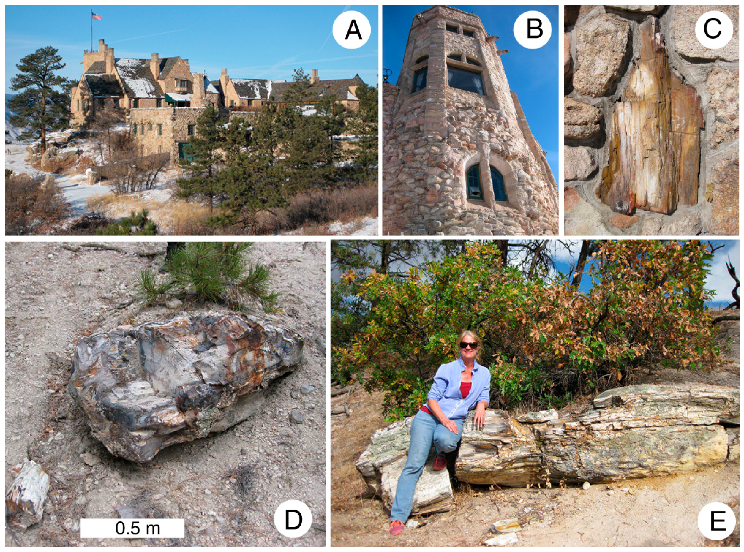 Geosciences 07 00023 g002