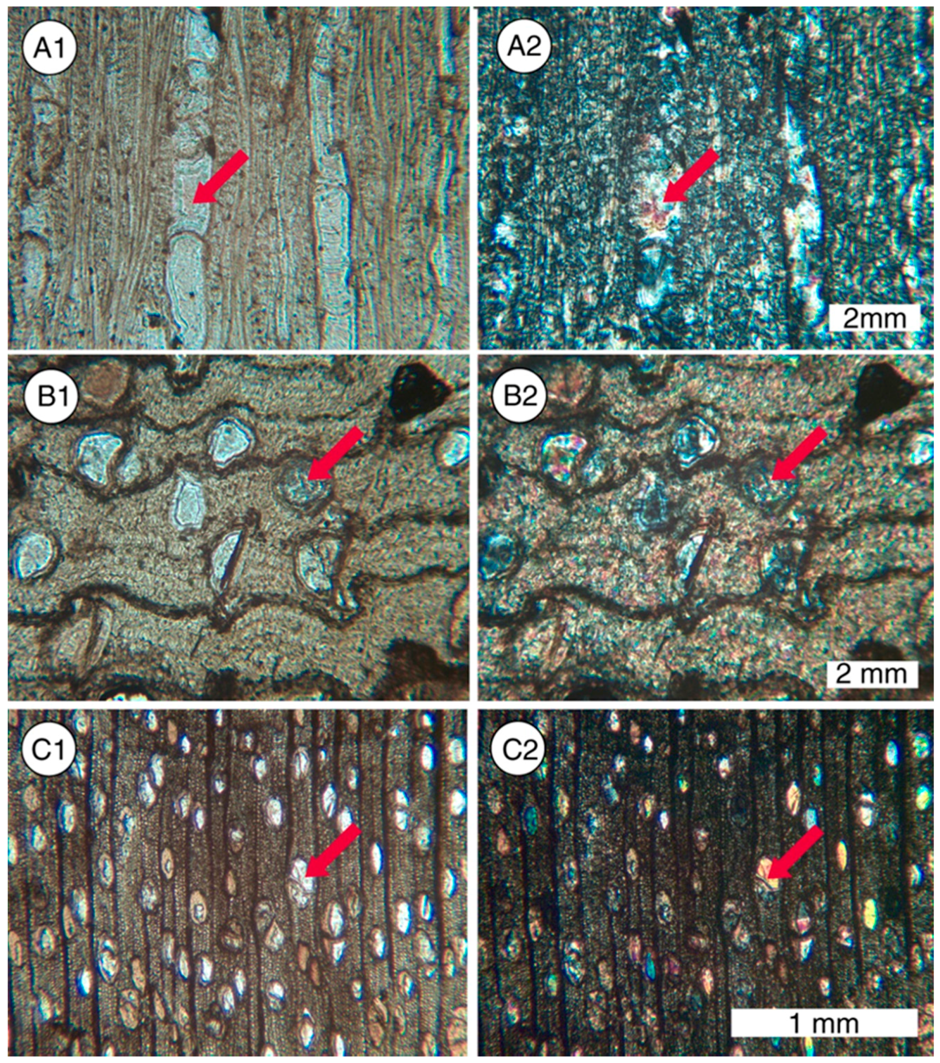 Geosciences 07 00023 g006