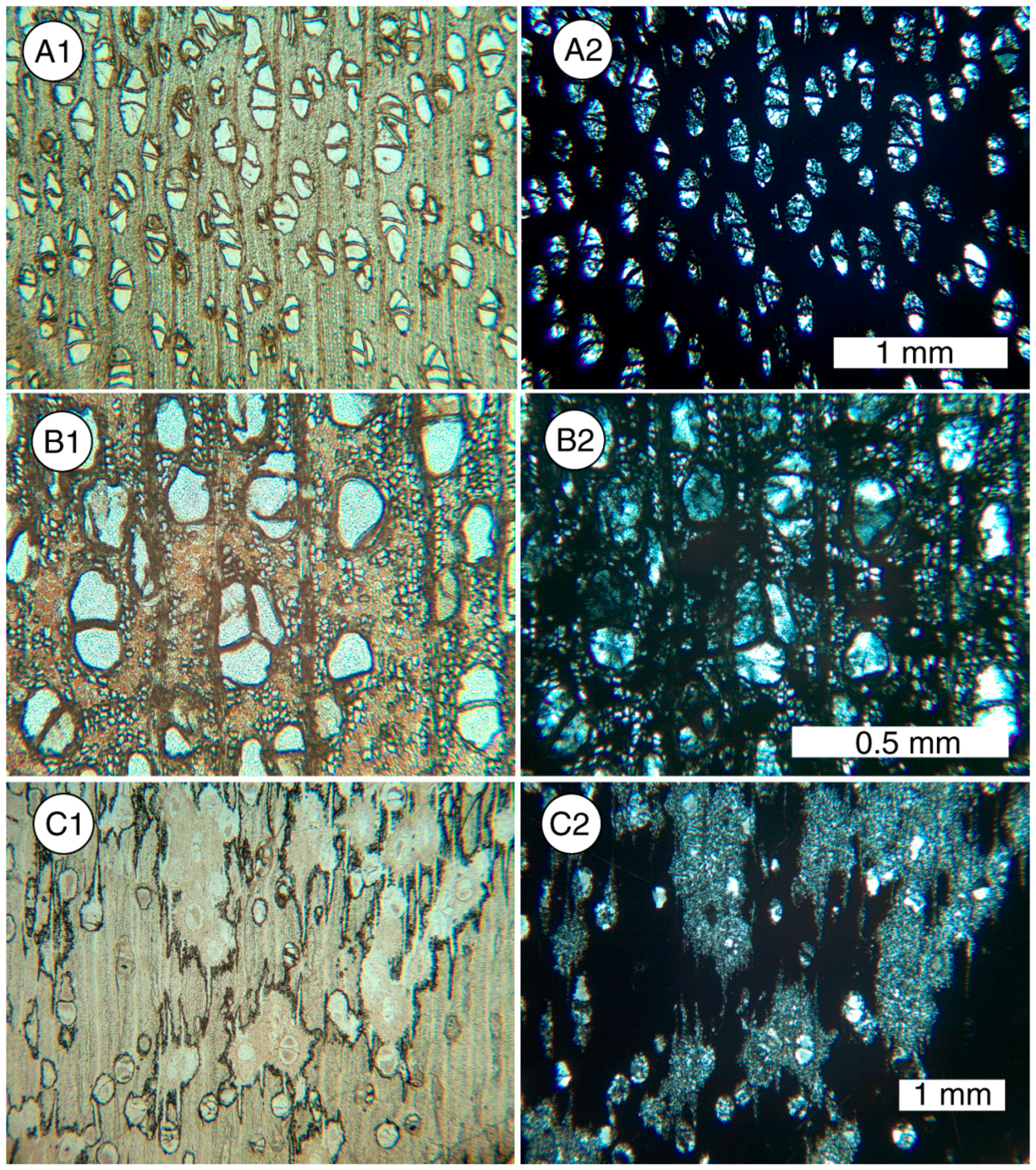 Geosciences 07 00023 g007