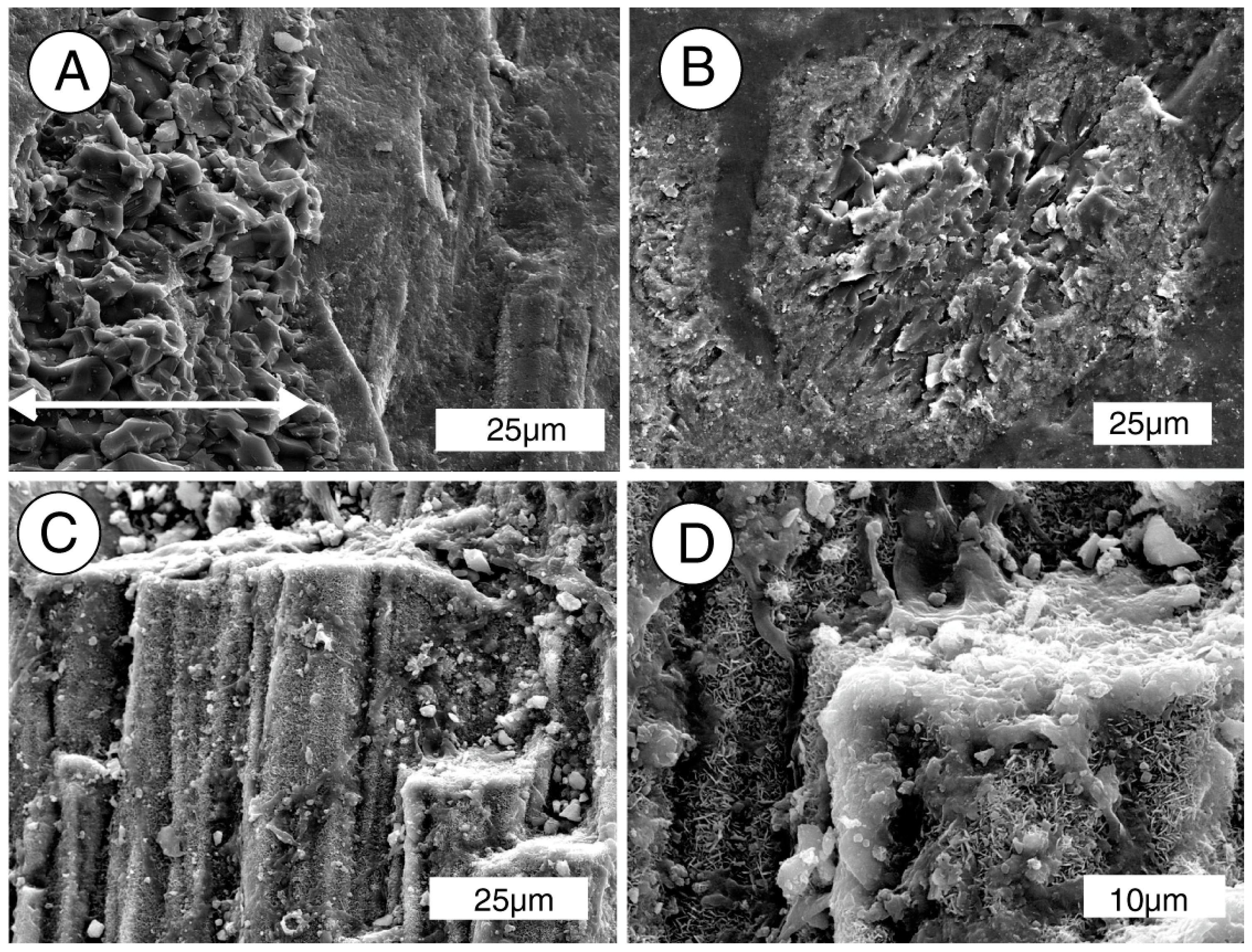 Geosciences 07 00023 g012