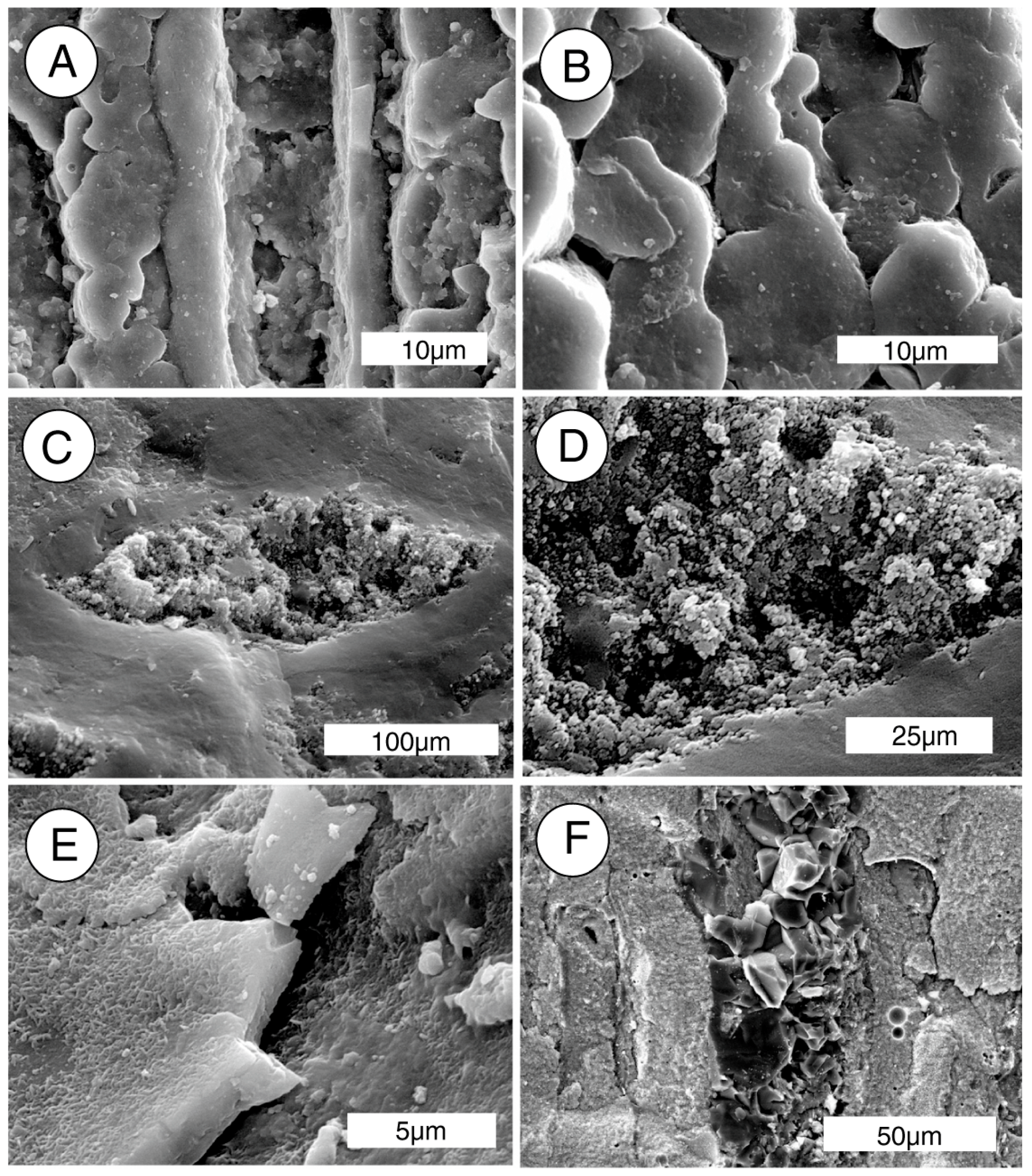 Geosciences 07 00023 g013