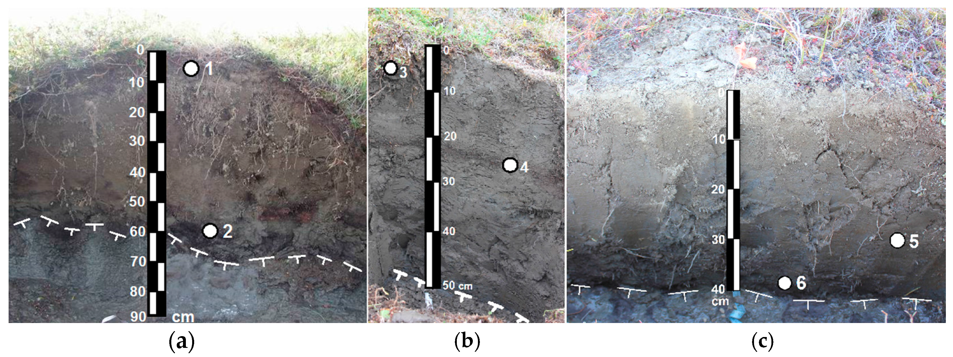 Geosciences 07 00024 g002