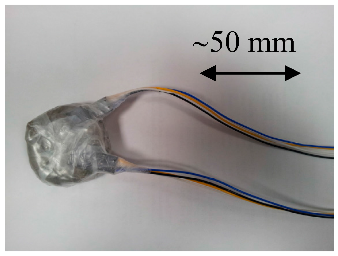 Geosciences 07 00038 g006