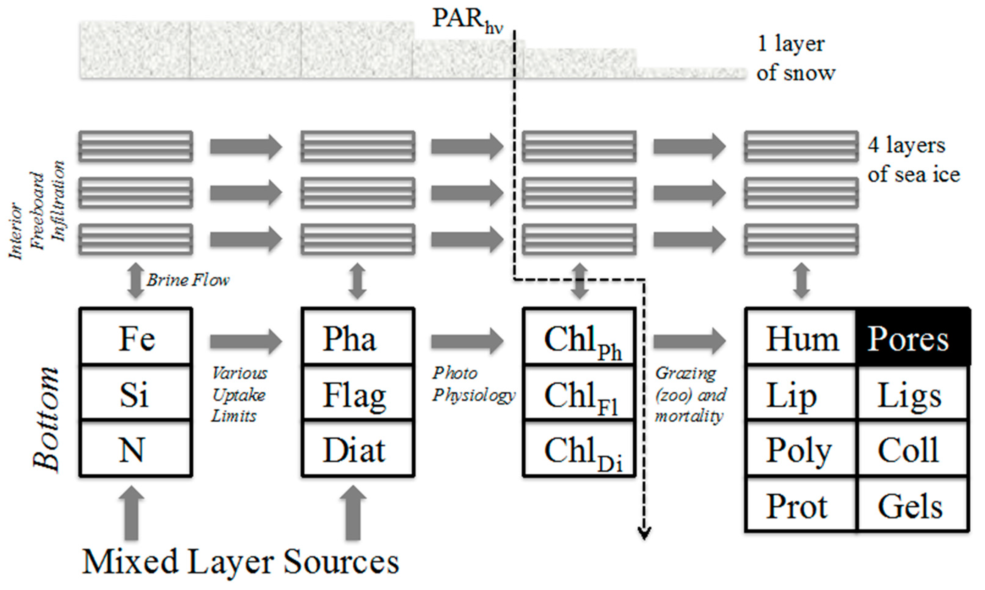 Geosciences 07 00052 g002