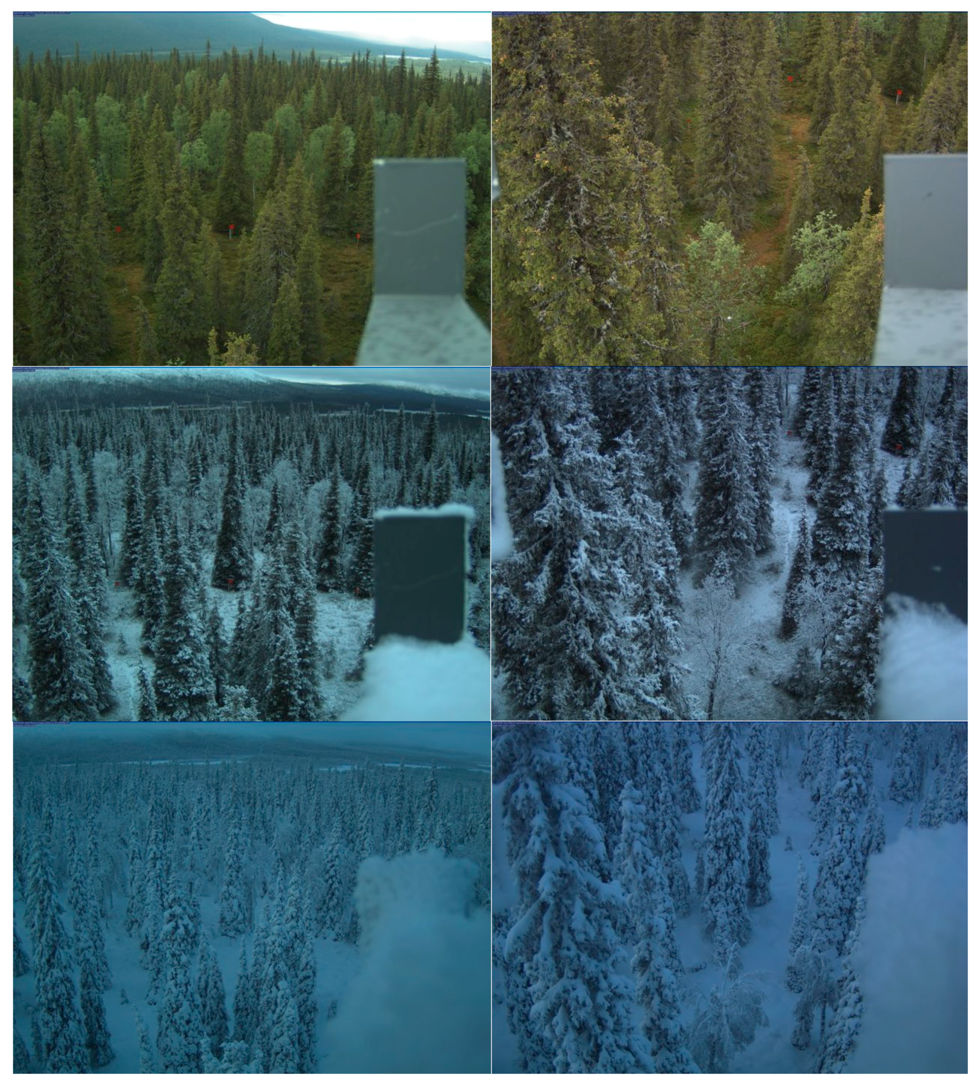 Geosciences 07 00055 g001