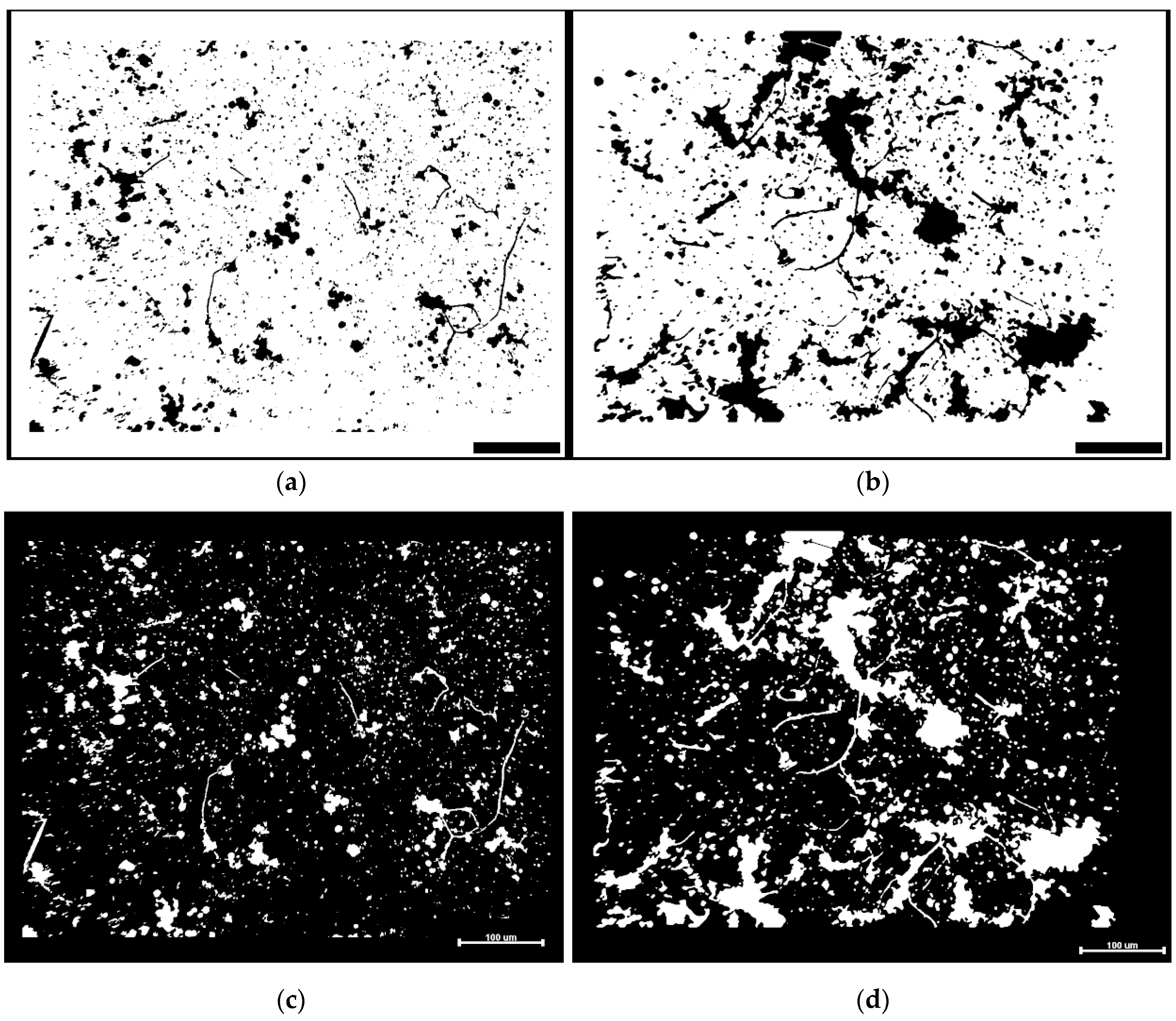 Geosciences 07 00056 g001a