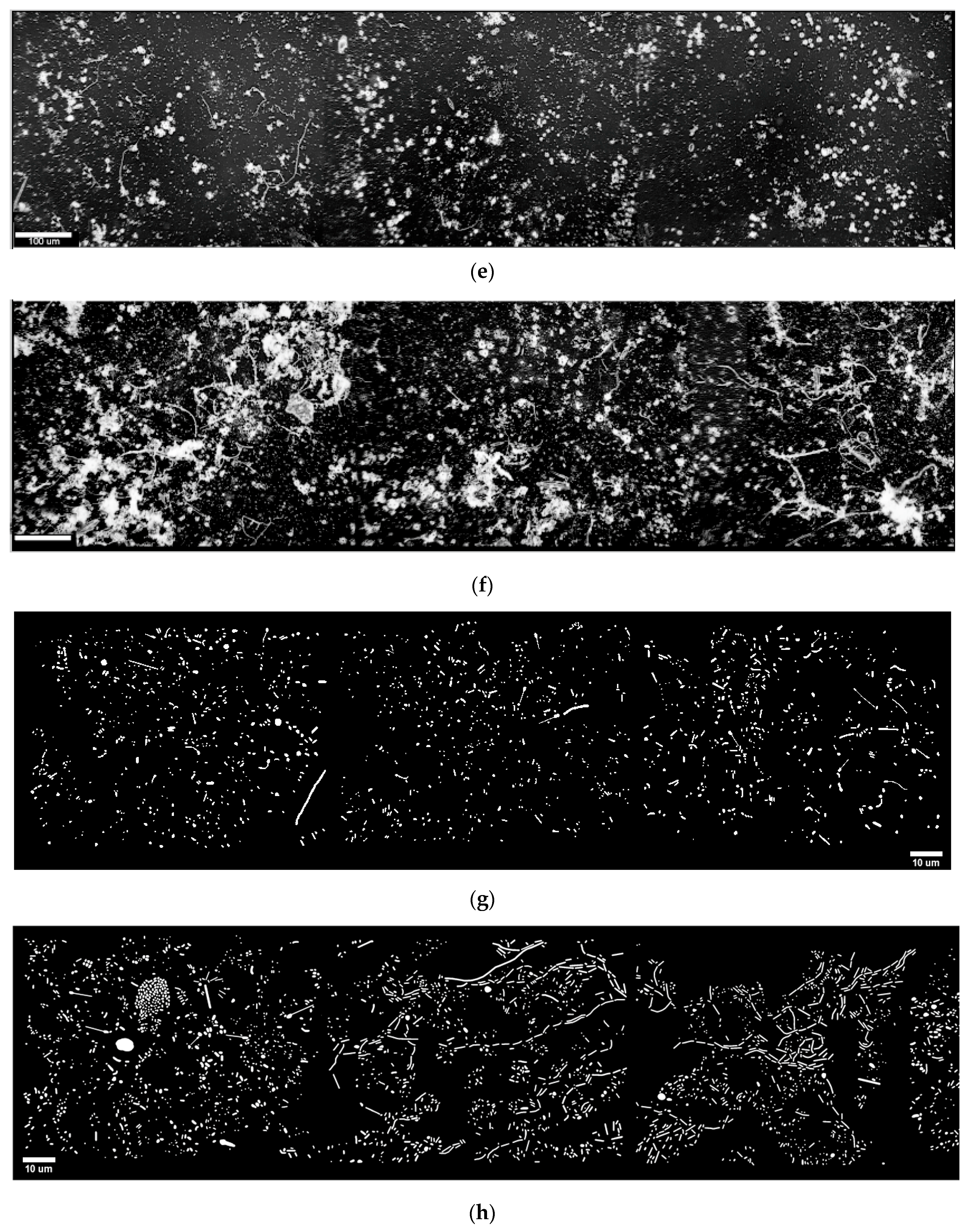 Geosciences 07 00056 g001b