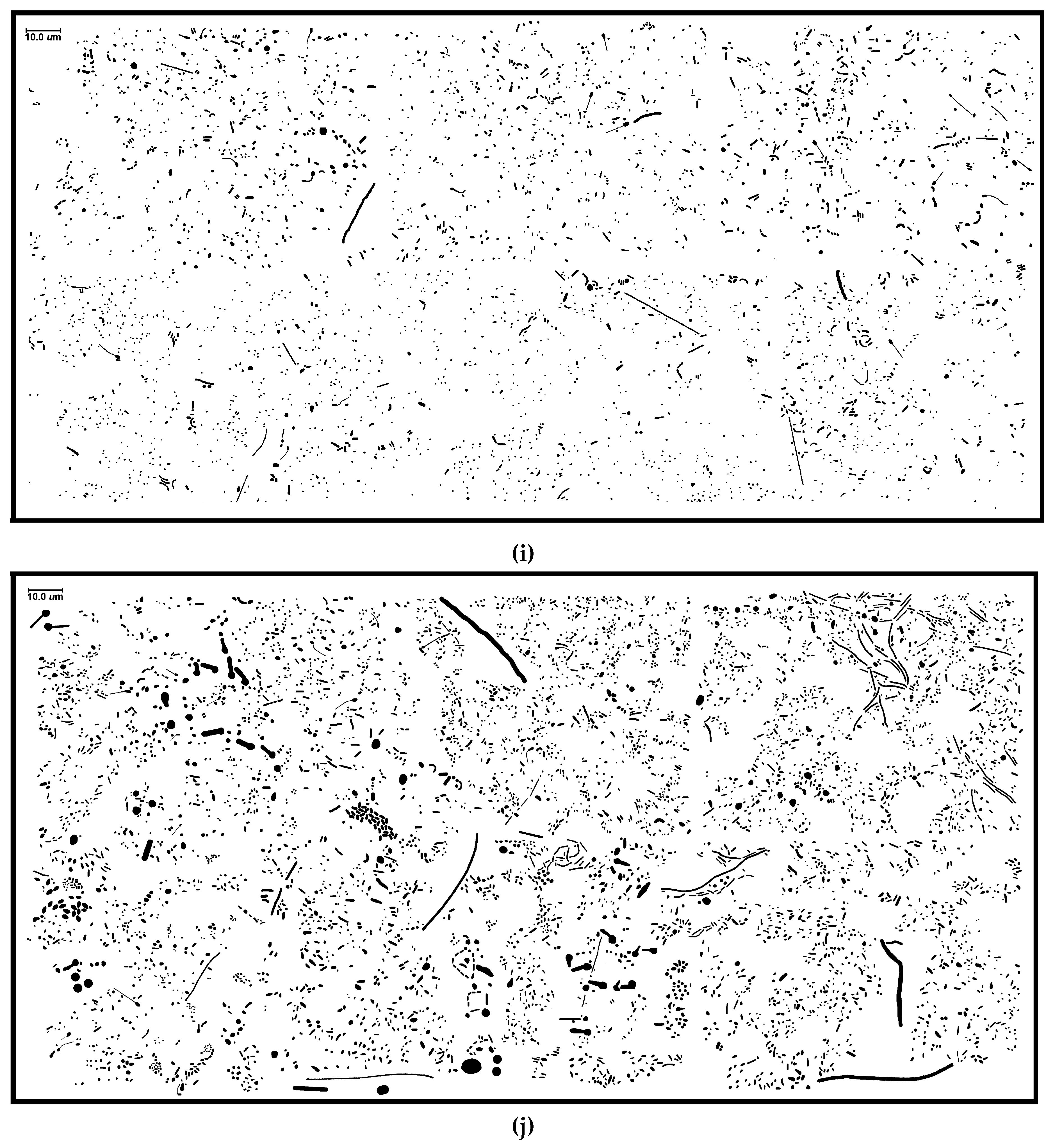 Geosciences 07 00056 g001c