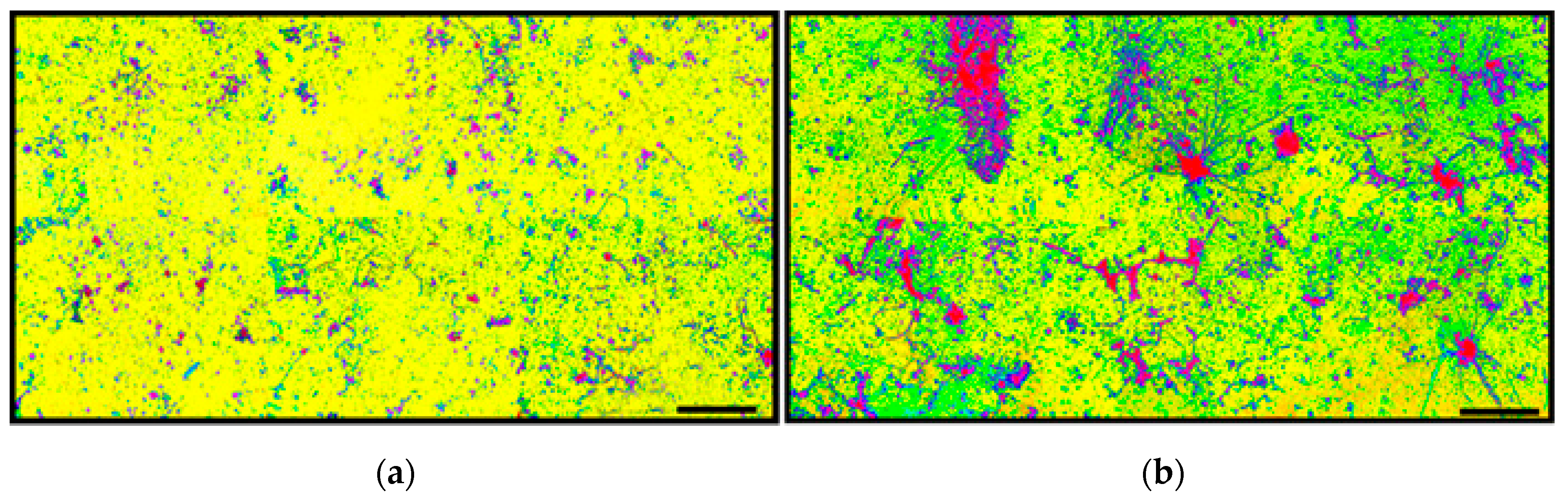 Geosciences 07 00056 g004