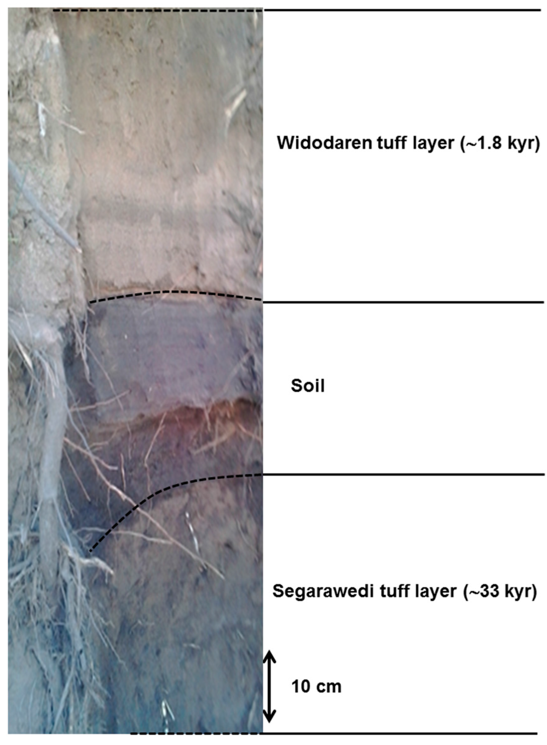 Geosciences 07 00063 g002 Geosciences 07 00063 g002