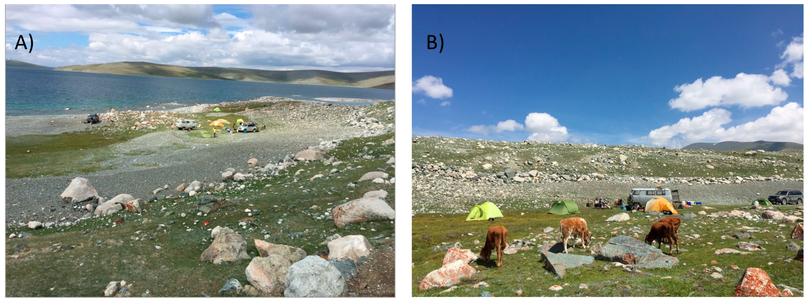 Geosciences 07 00073 g008