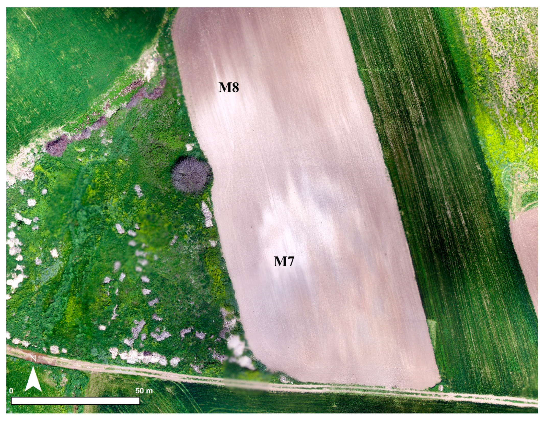 Geosciences 07 00079 g019