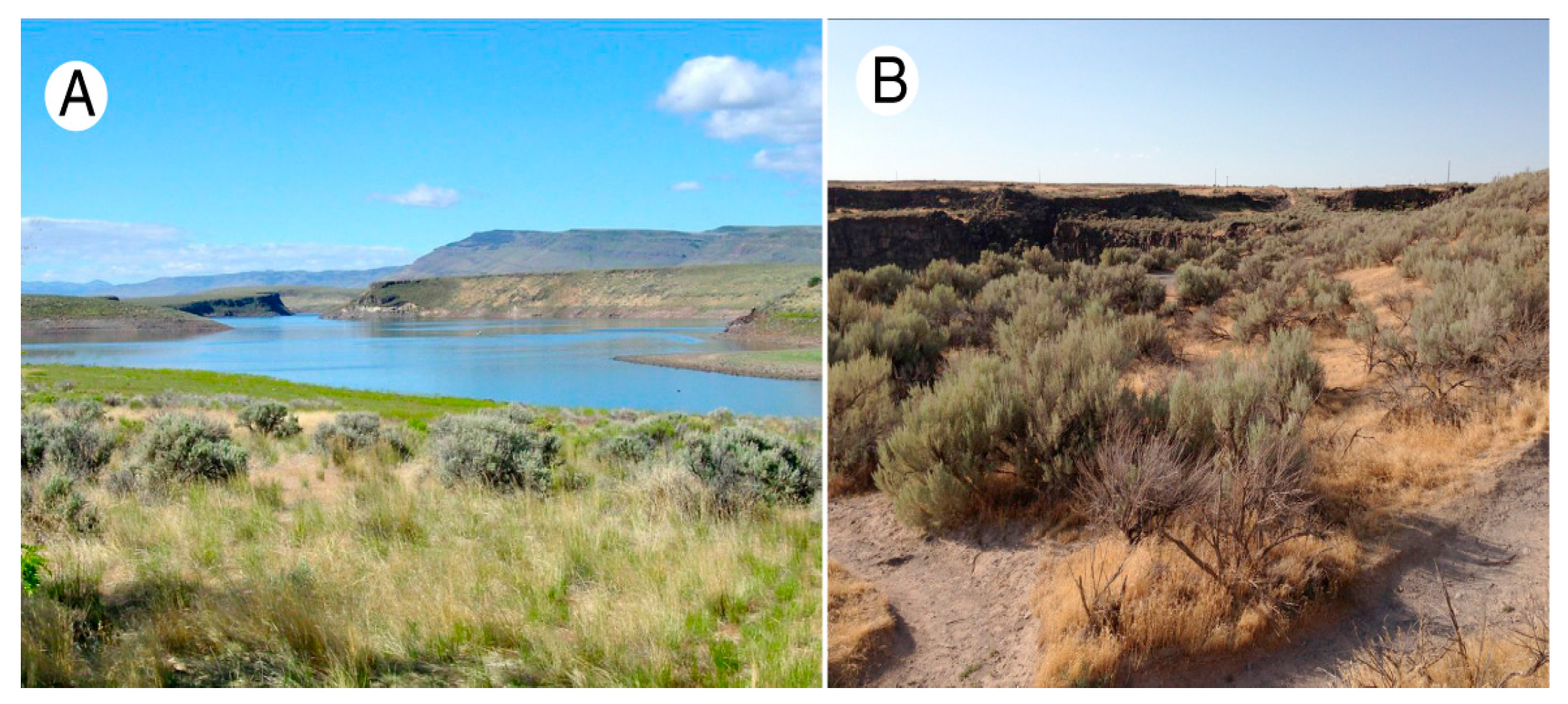 Geosciences 07 00082 g003