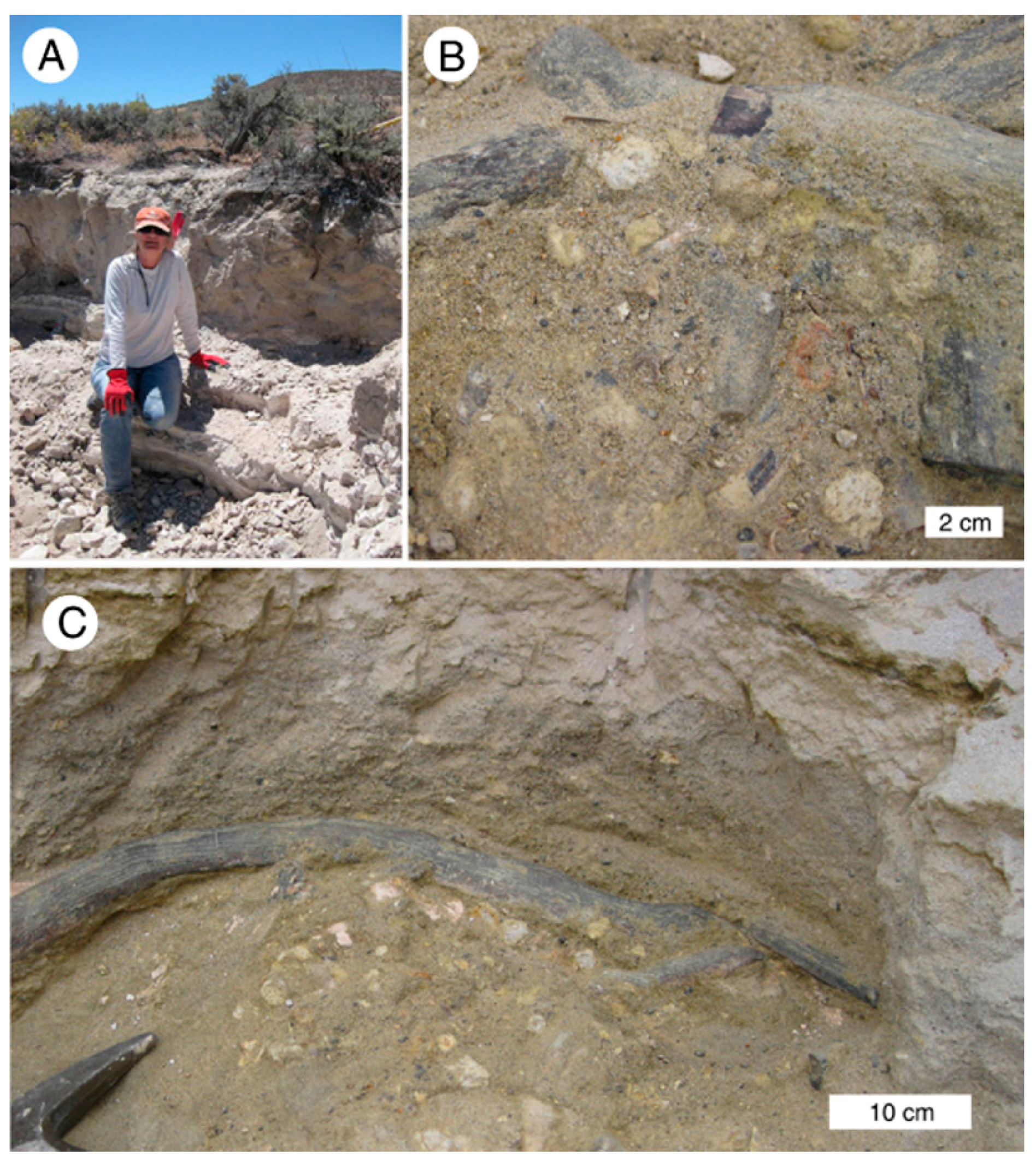 Geosciences 07 00082 g005