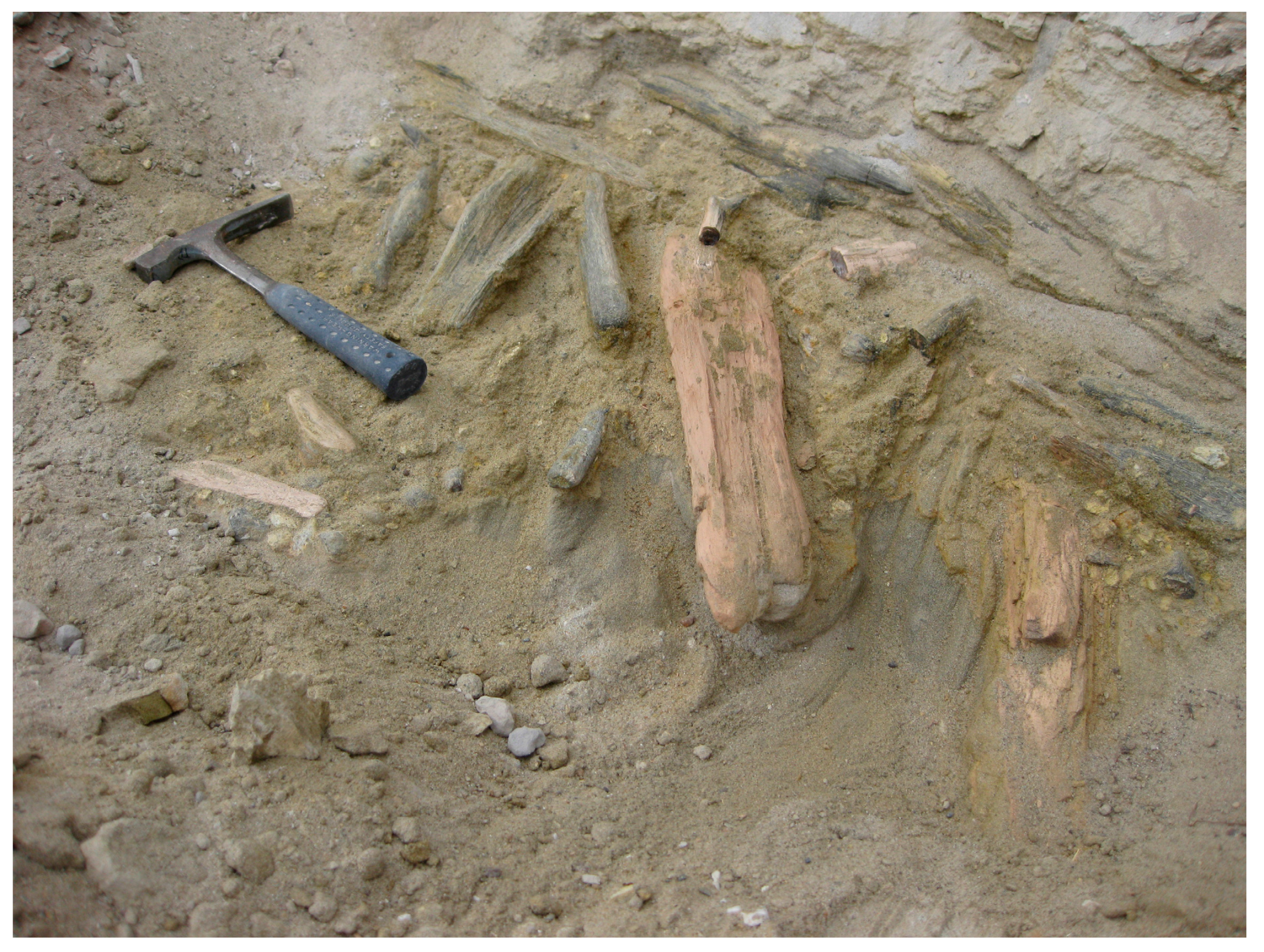 Geosciences 07 00082 g006