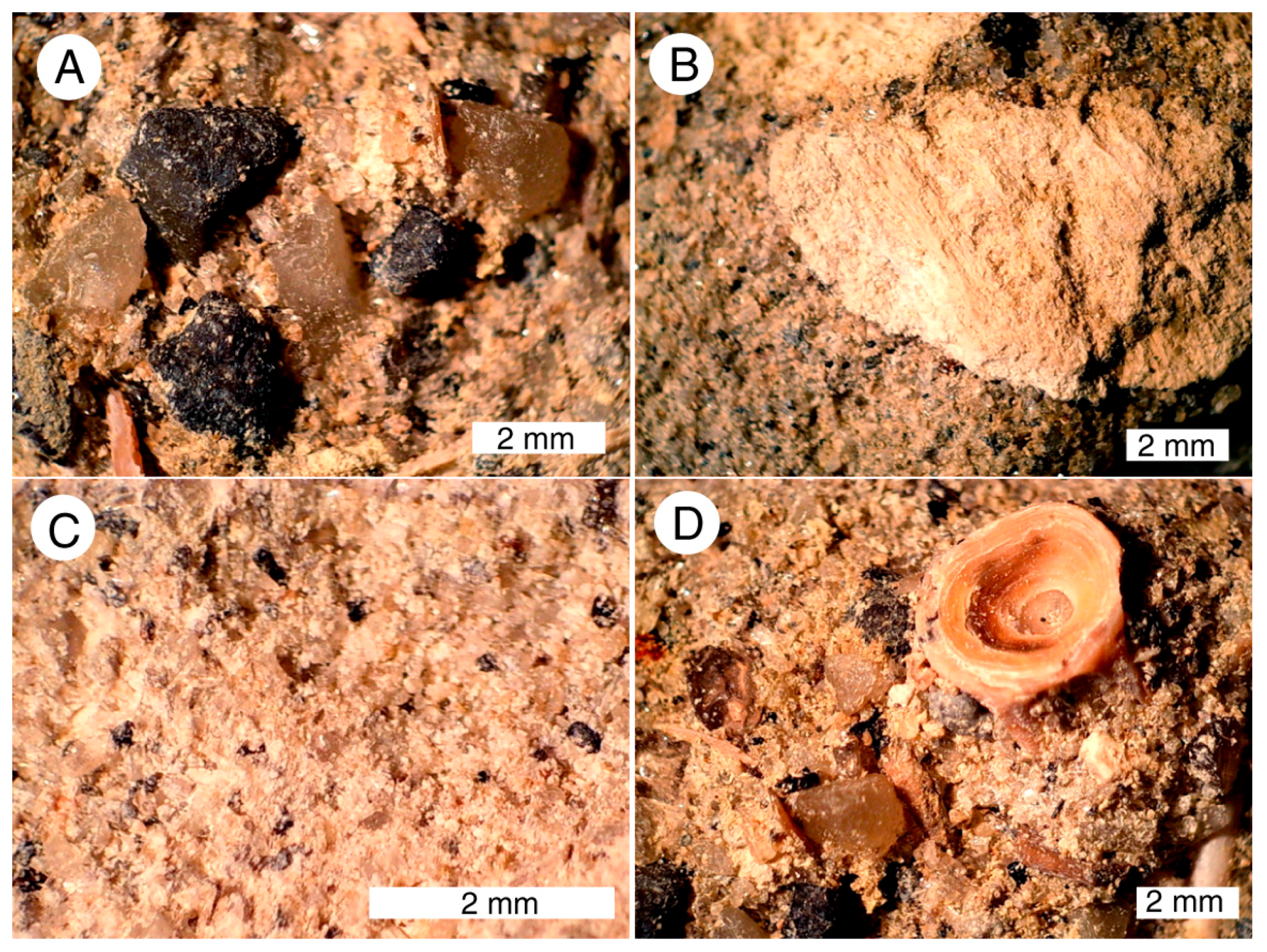 Geosciences 07 00082 g007